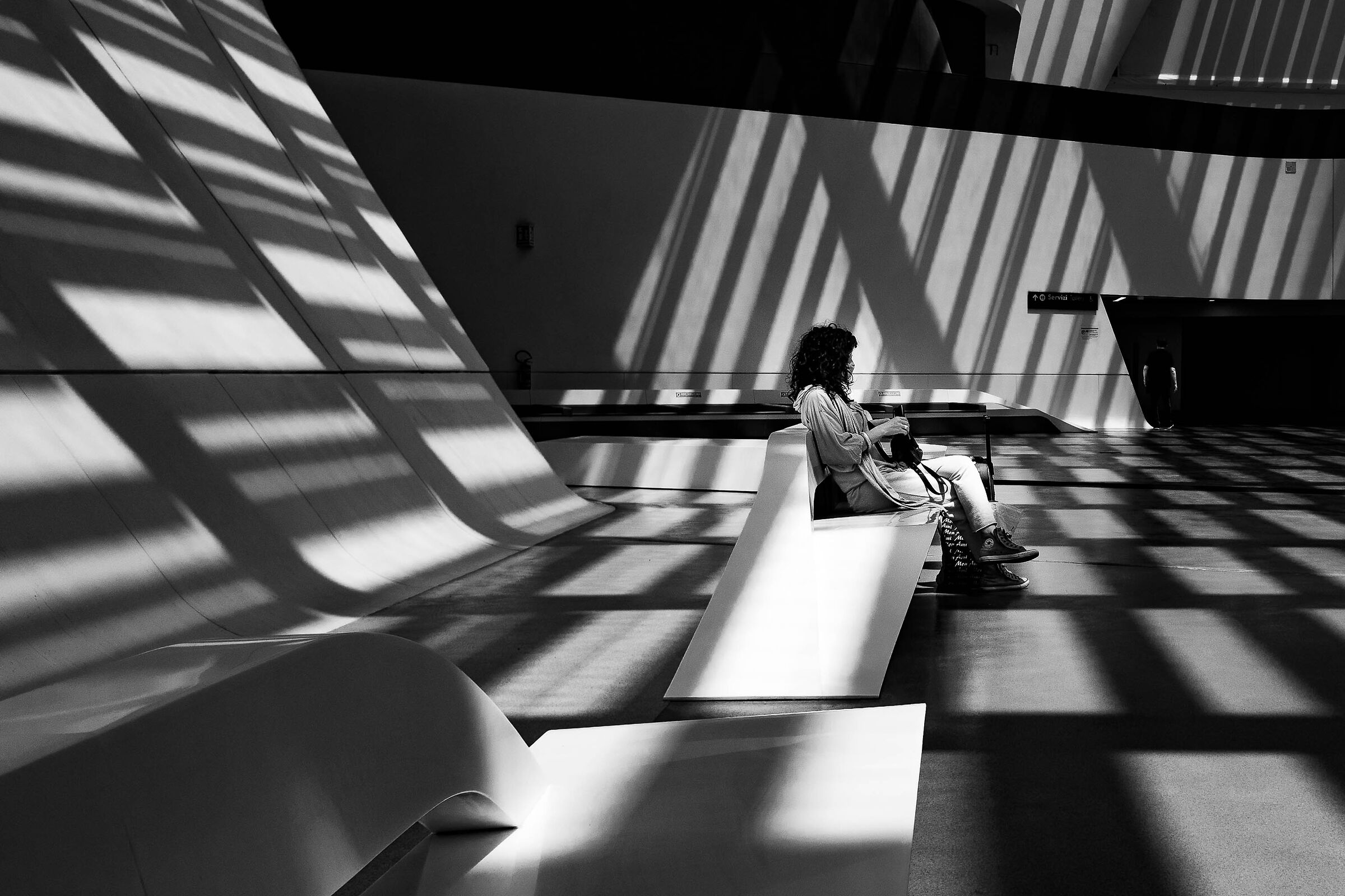 The Woman and the Chess