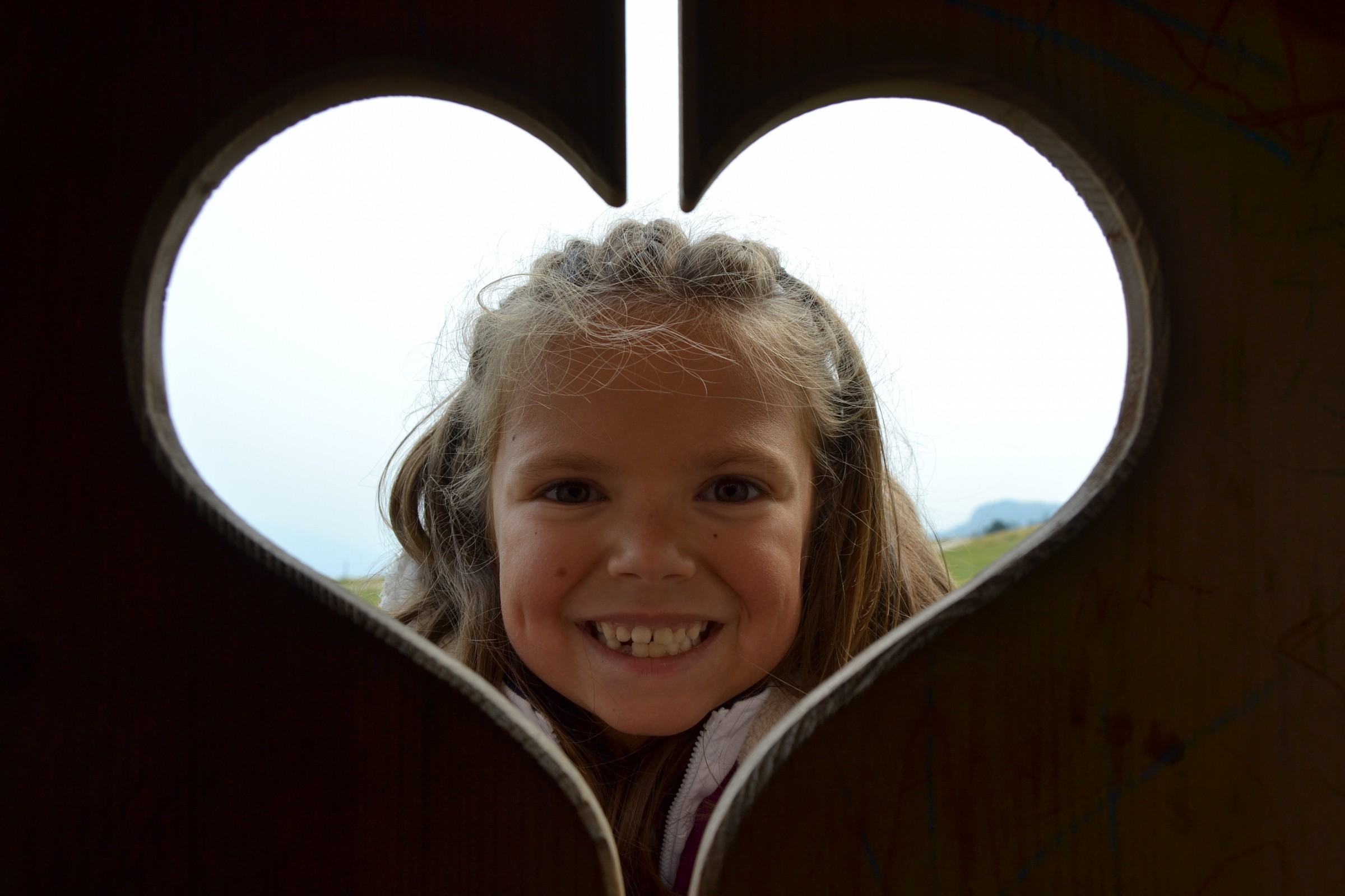 through the heart ...