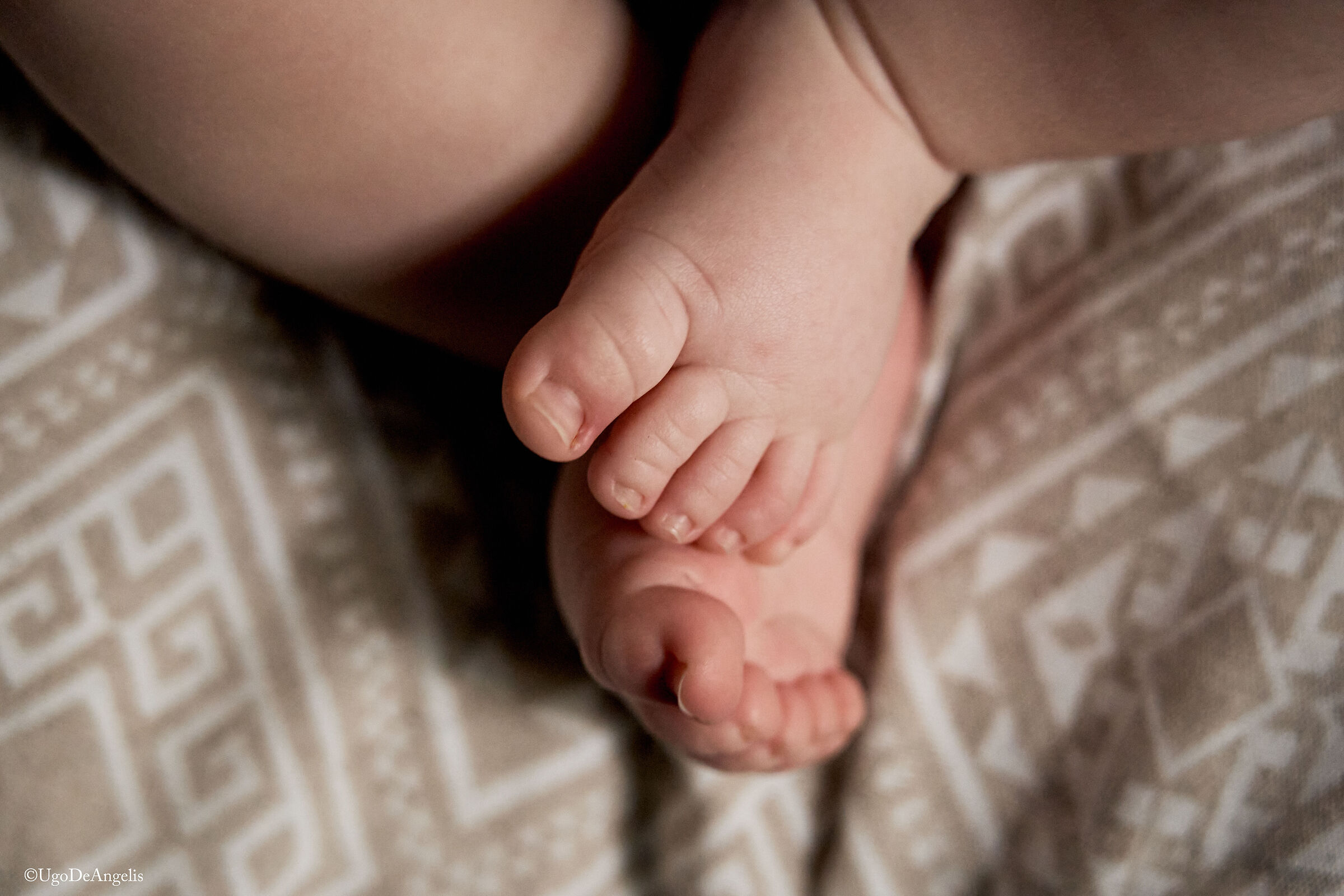 La grande piccolezza