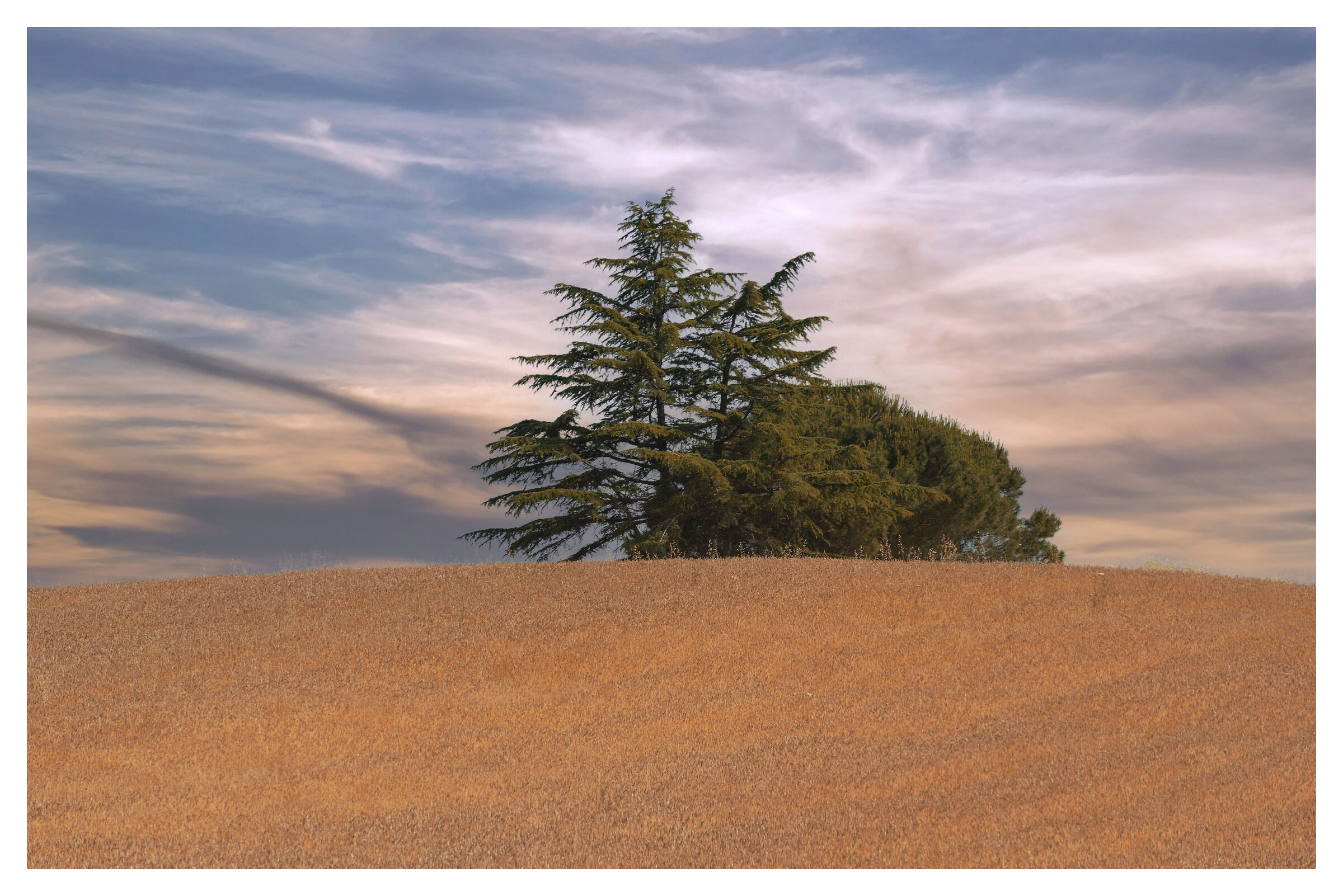 The Hill and the Three Trees