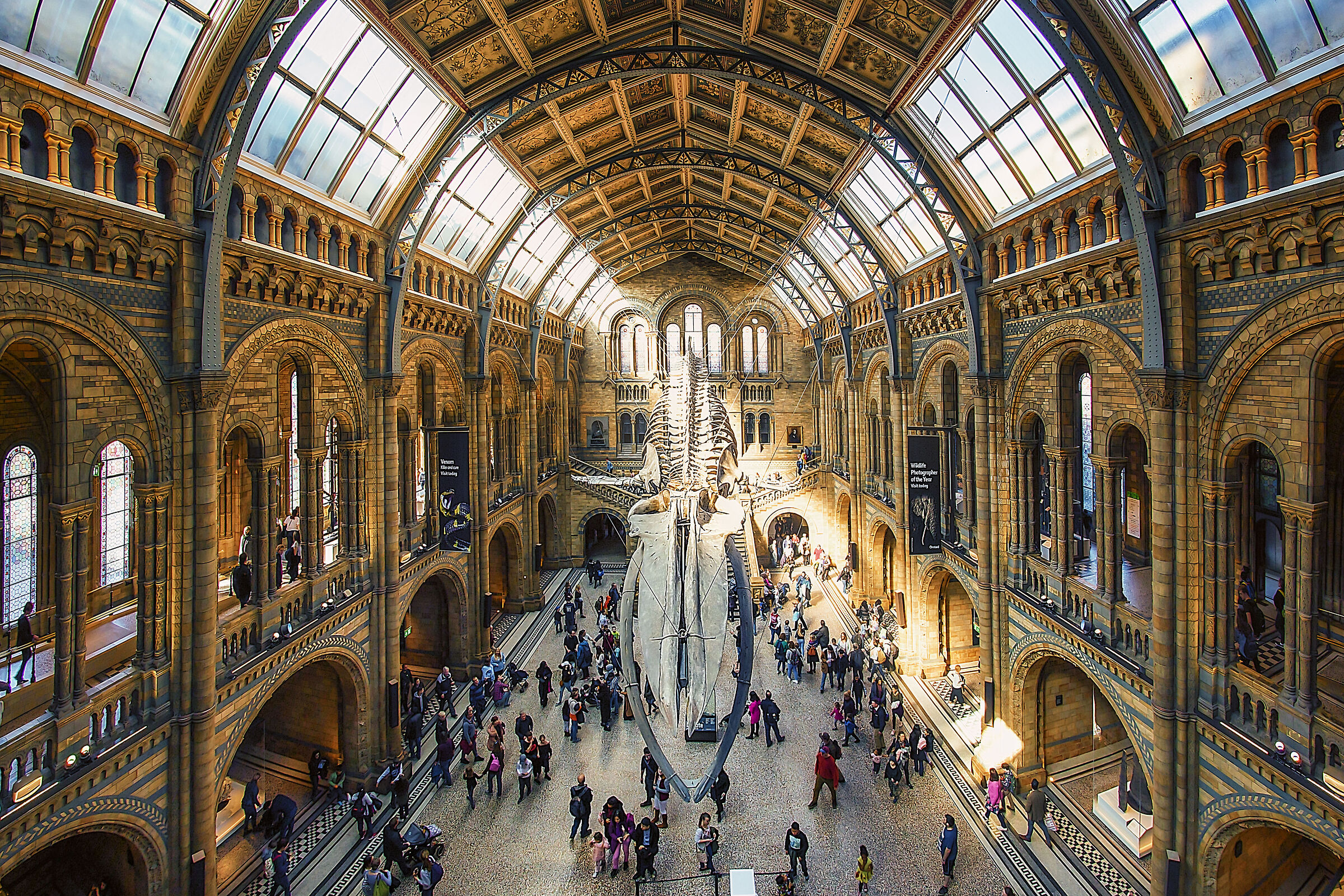 In front of the blue whale