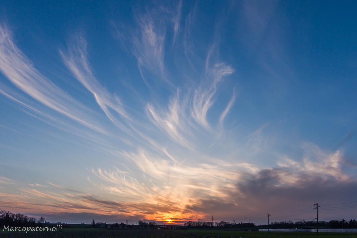 primi vagiti sigma 8 - 16