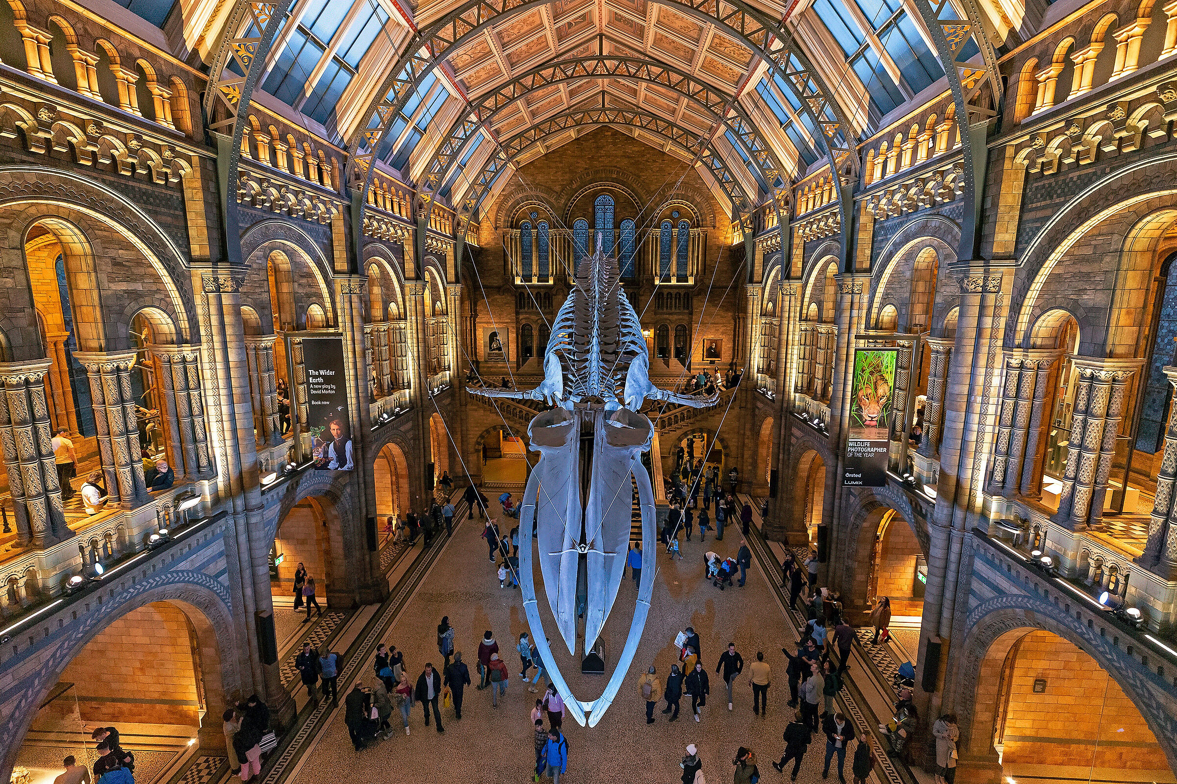 Natural History Museum