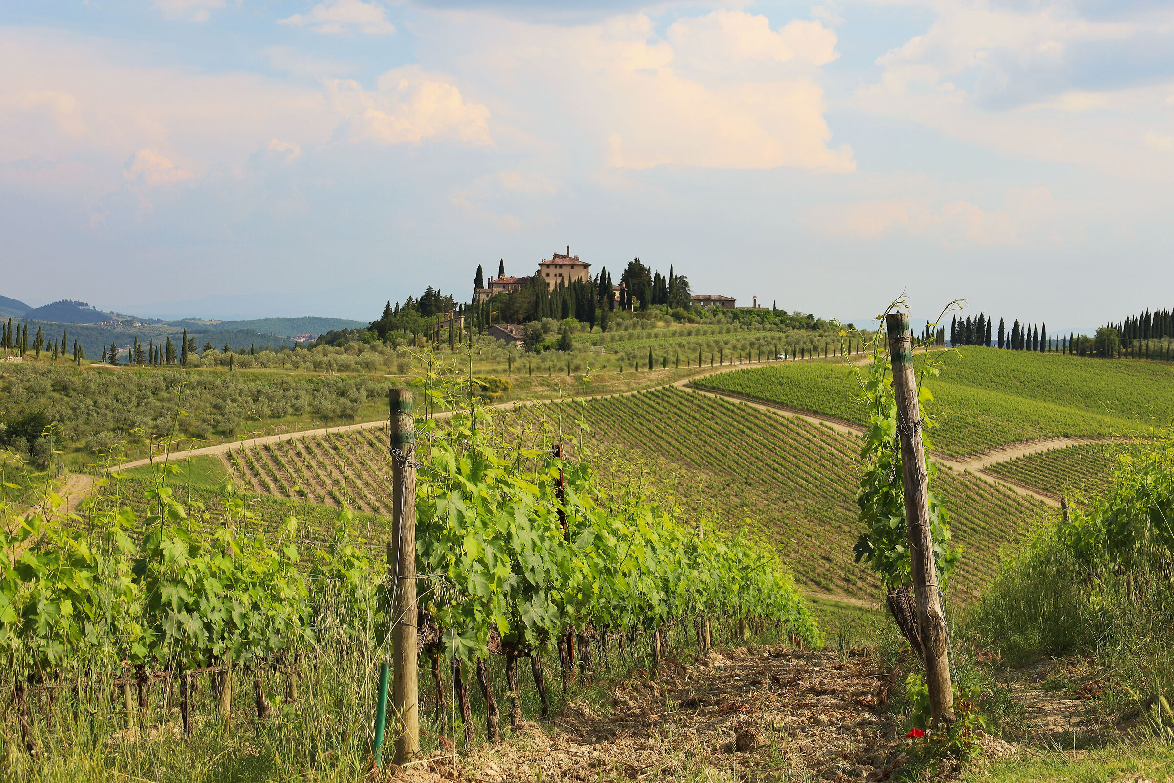 Chianti Hills