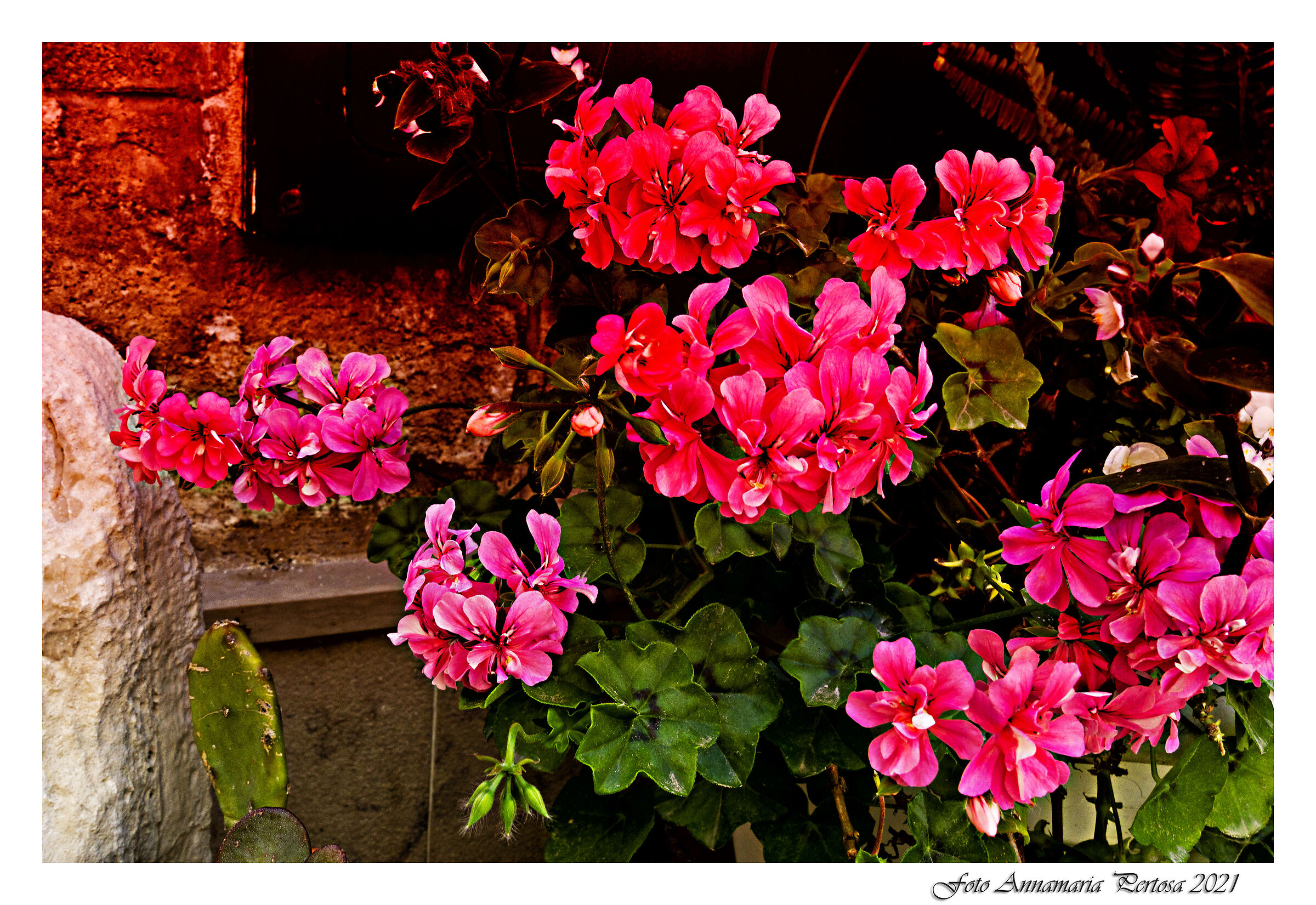 Early morning colors, lights and scents