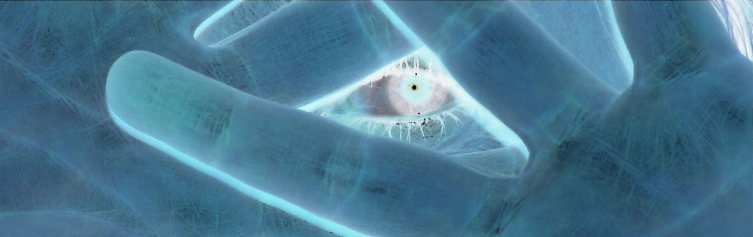 eye