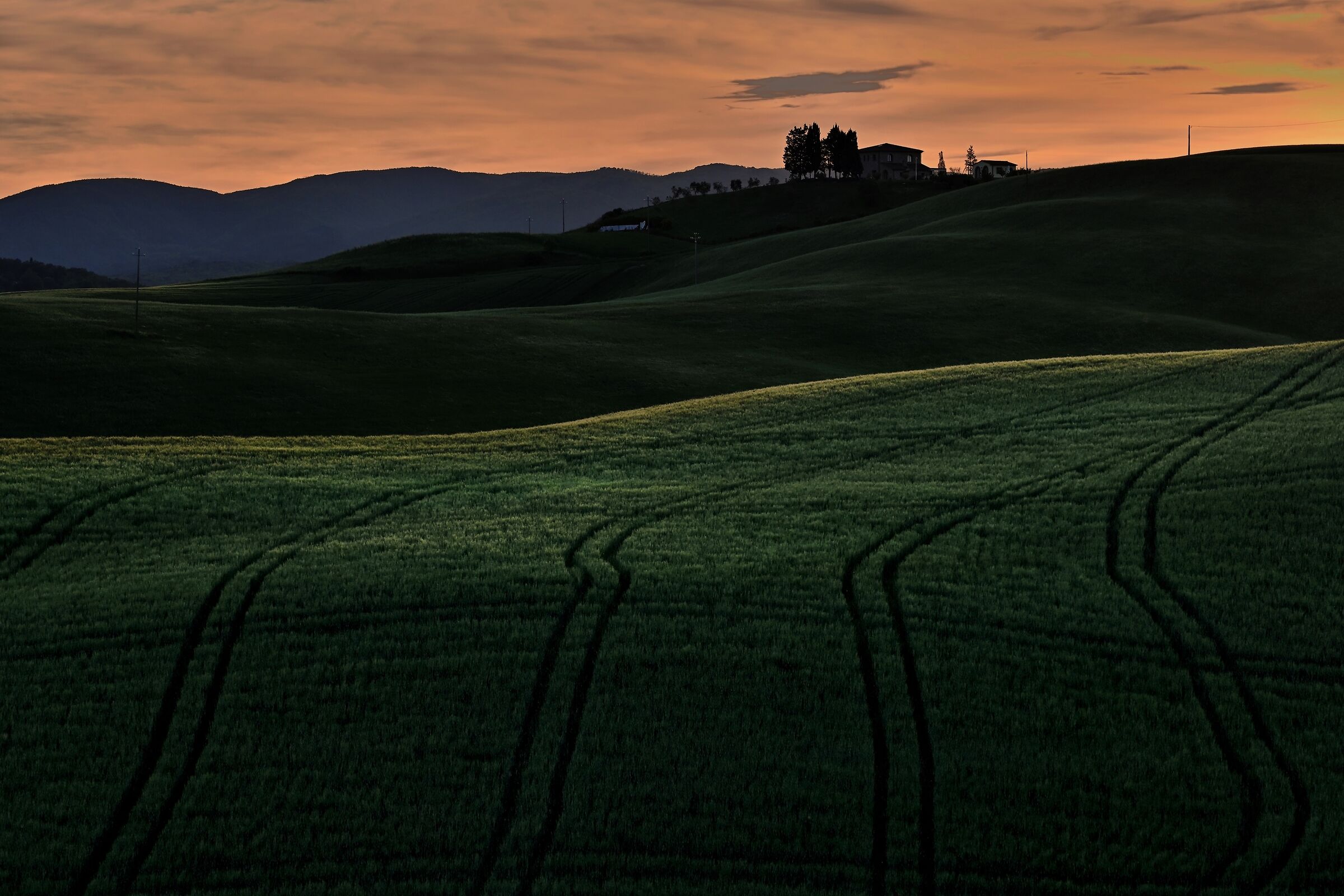 Tuscan Evenings