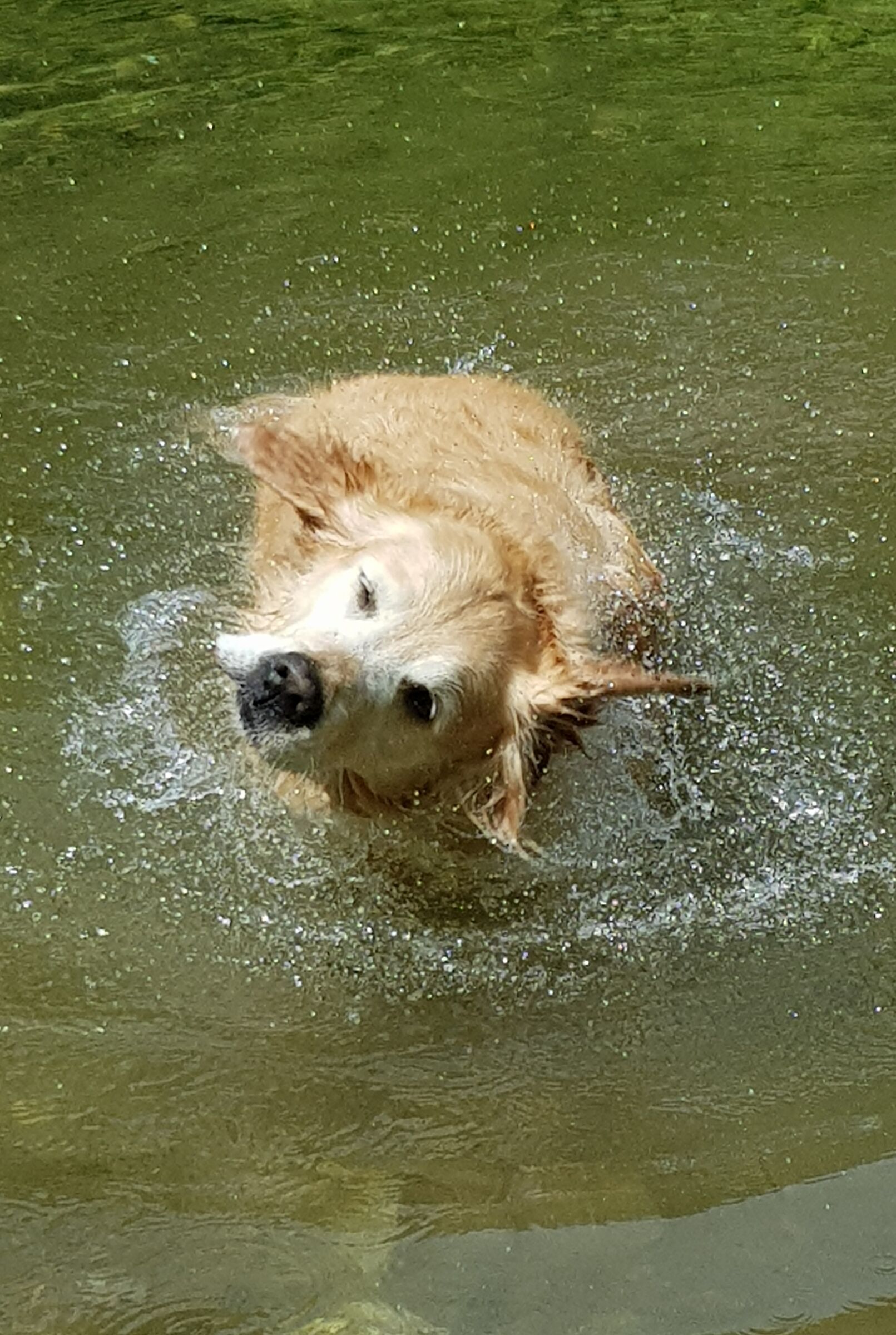 Sgcollatina... in the water...