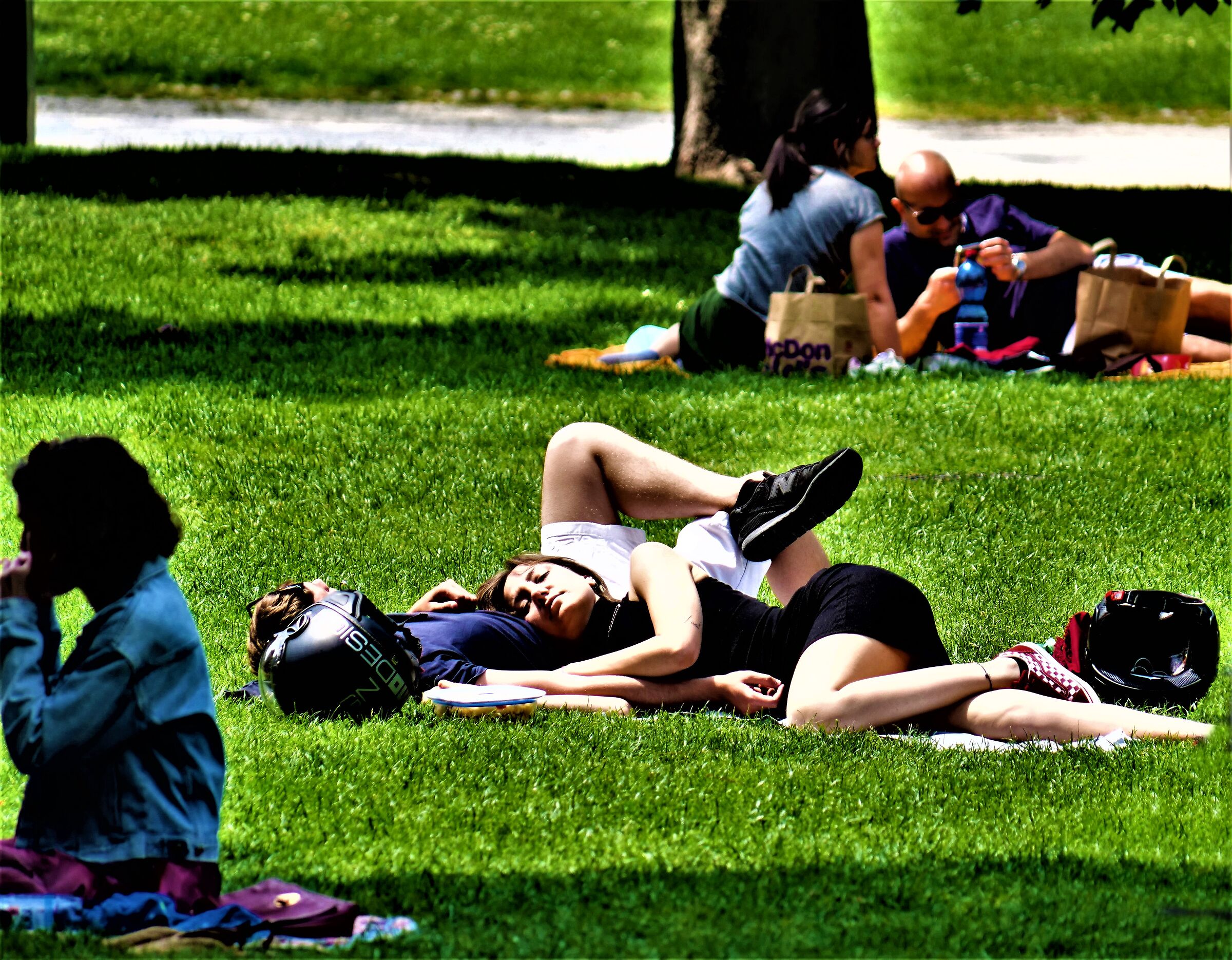 . . . in cerca di sole e di frescura . . .