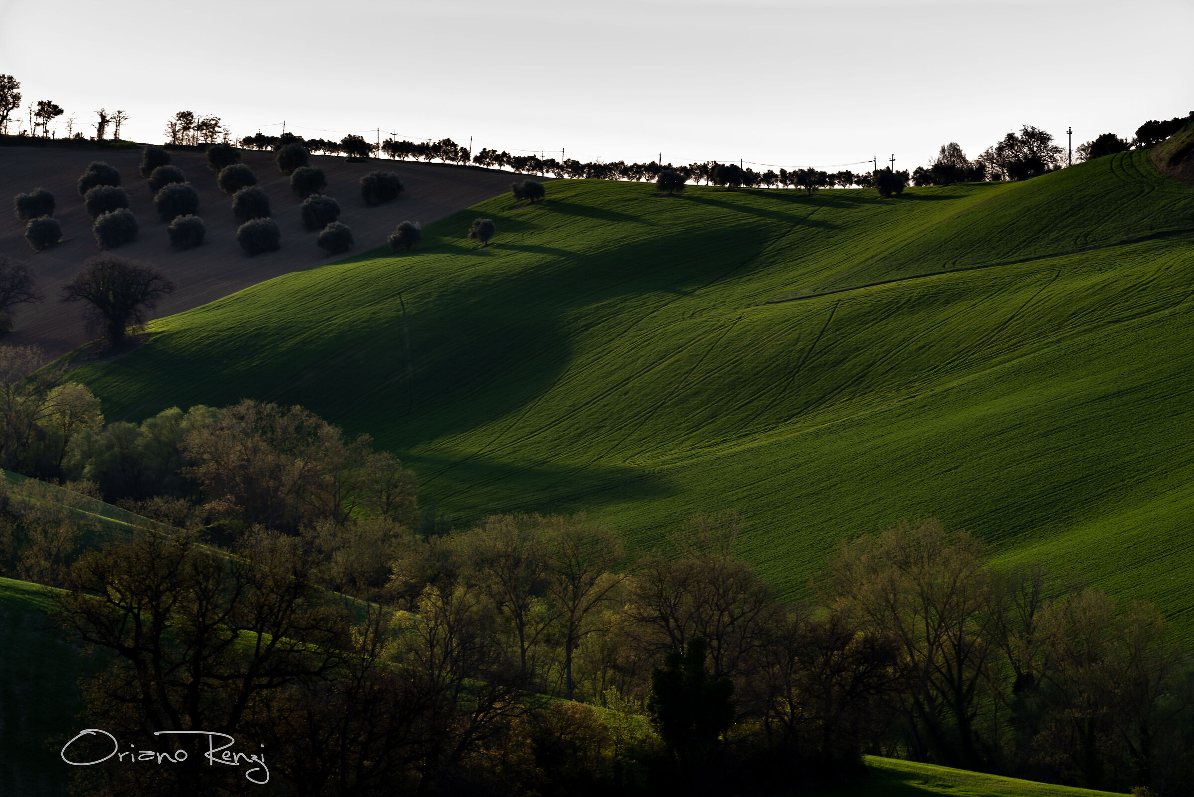 Colline Maceratesi