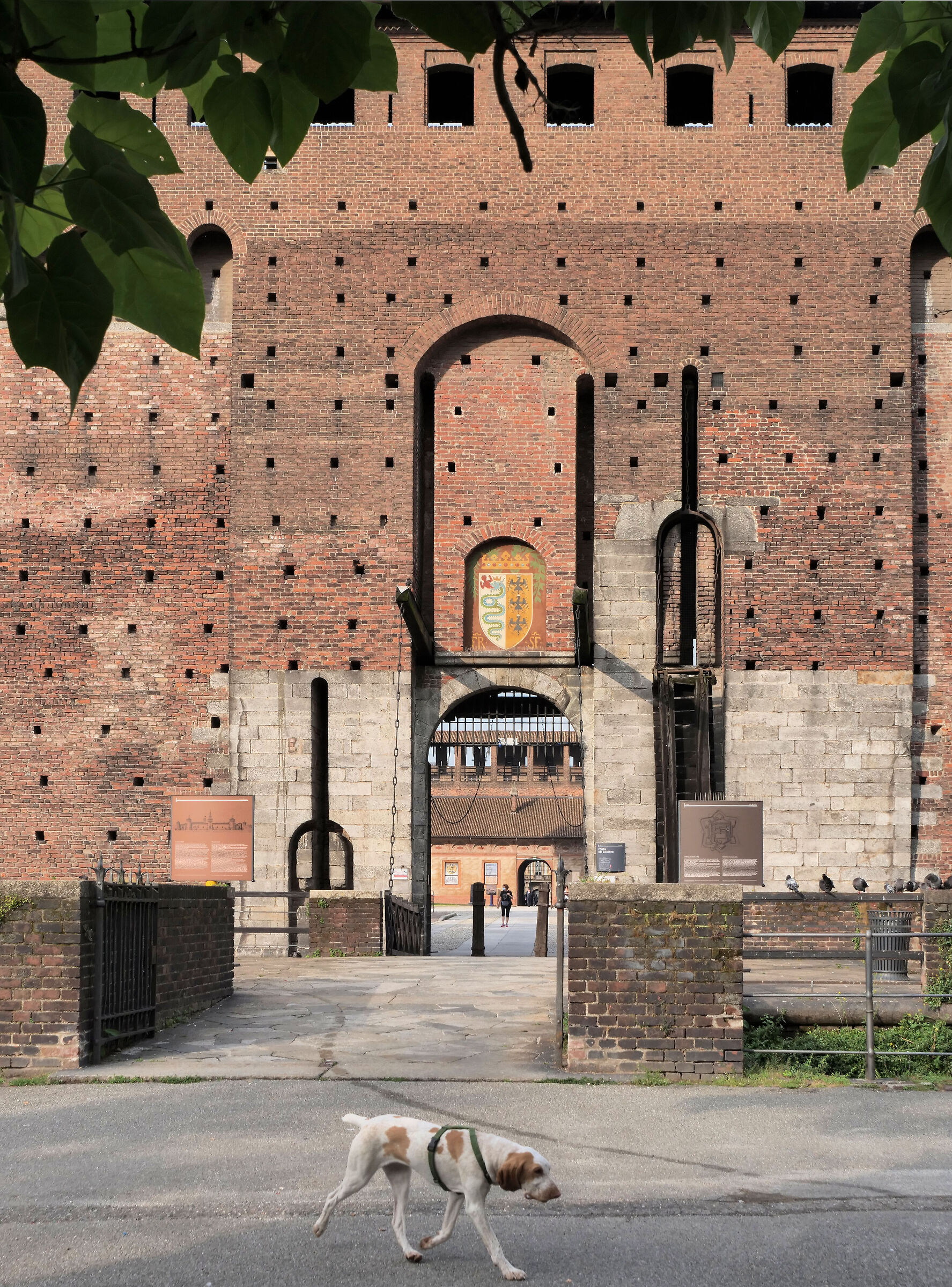 comunque non si potrà dire: non c'era manco un ca...