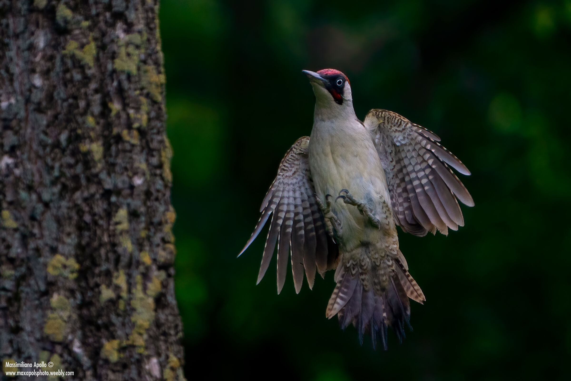 vertical landing...