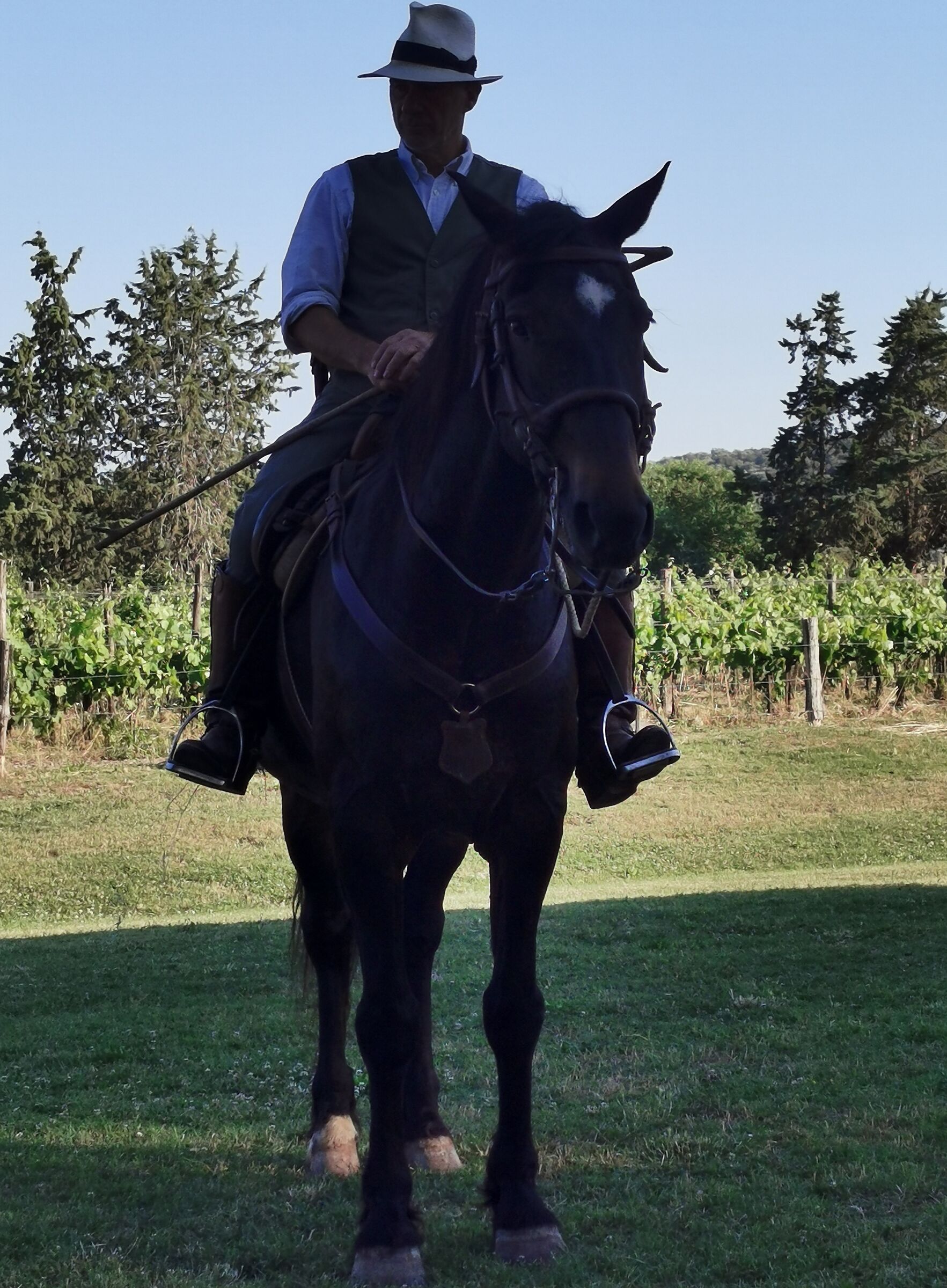 Maremma amara ma tanto bella