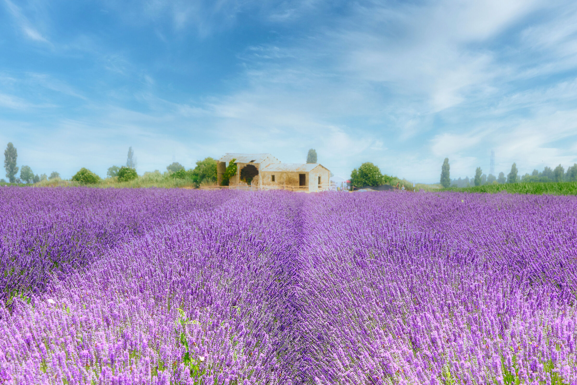 An almost unreal place