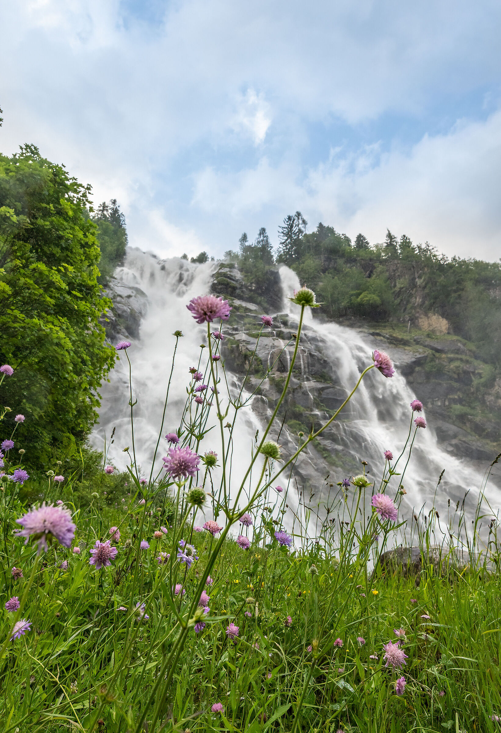 Cascate Nardis (Trentino - Italia)