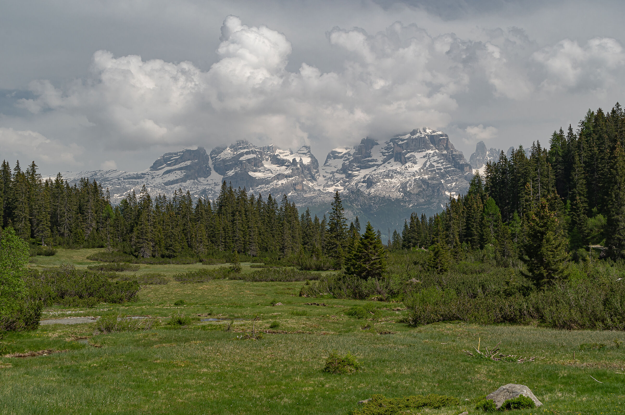 Tra Malga e Lago Ritorto