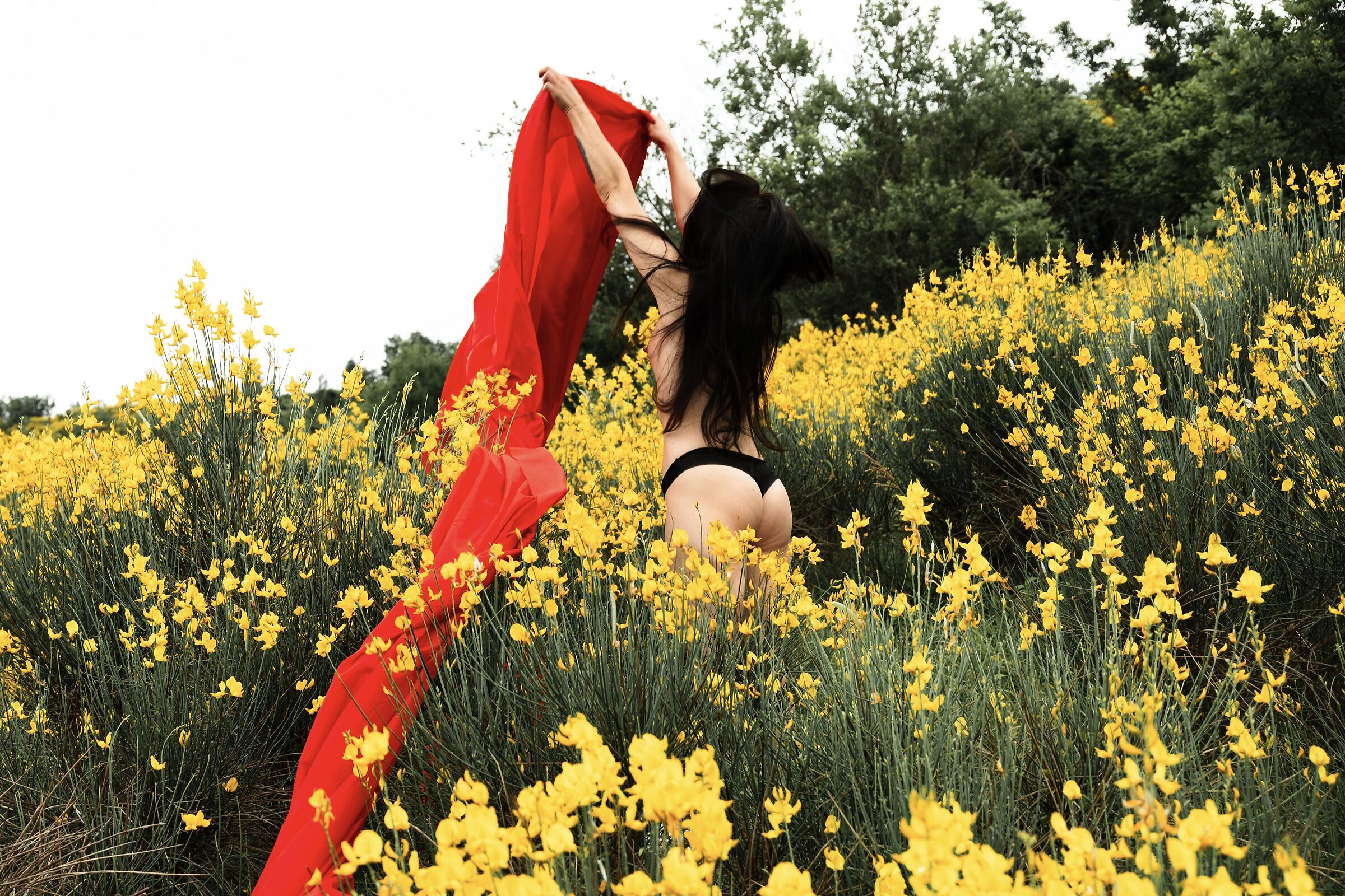 A Sale San Giovanni non c'è solo Lavanda