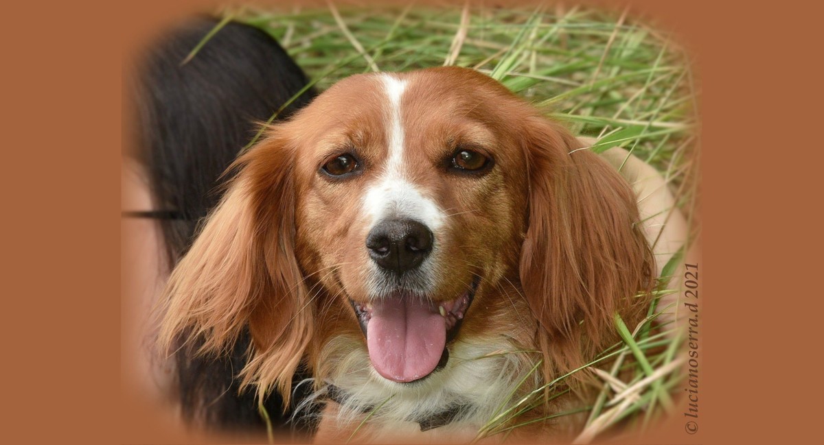Io sono Lilly... e tutti mi dicono che sono bella bella