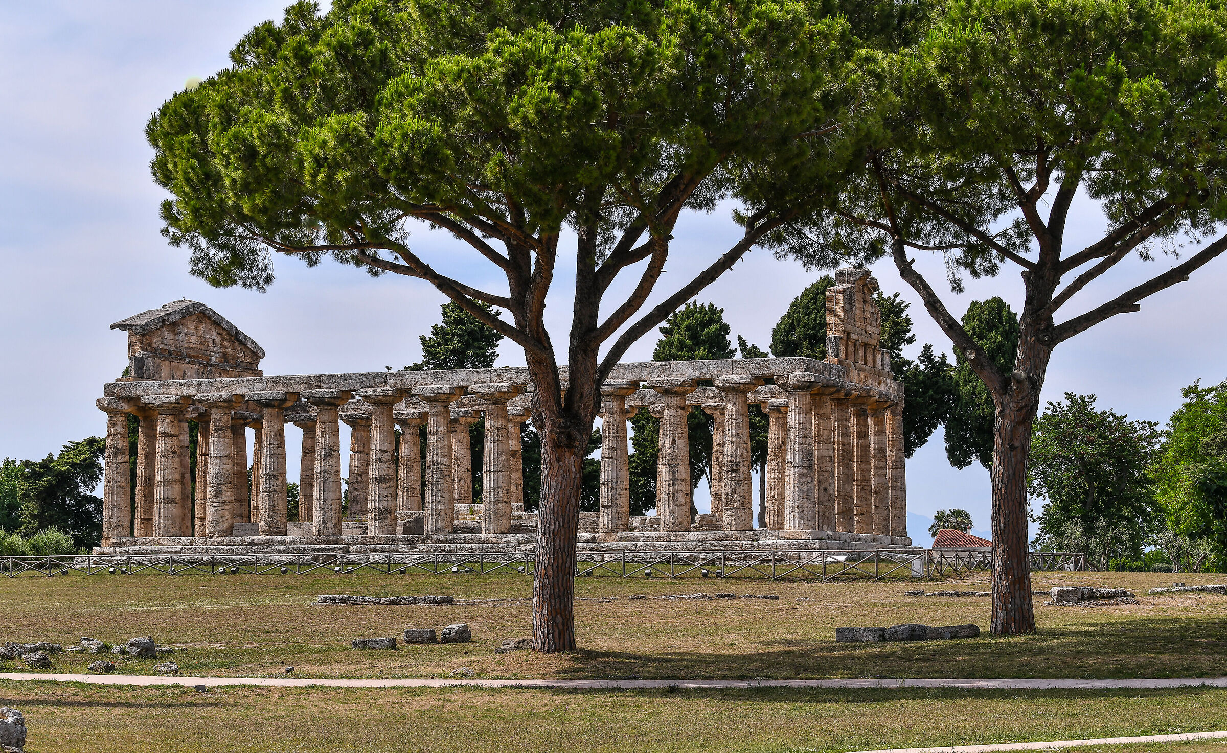 Paestum-Il Tempio di Athena/Cerere