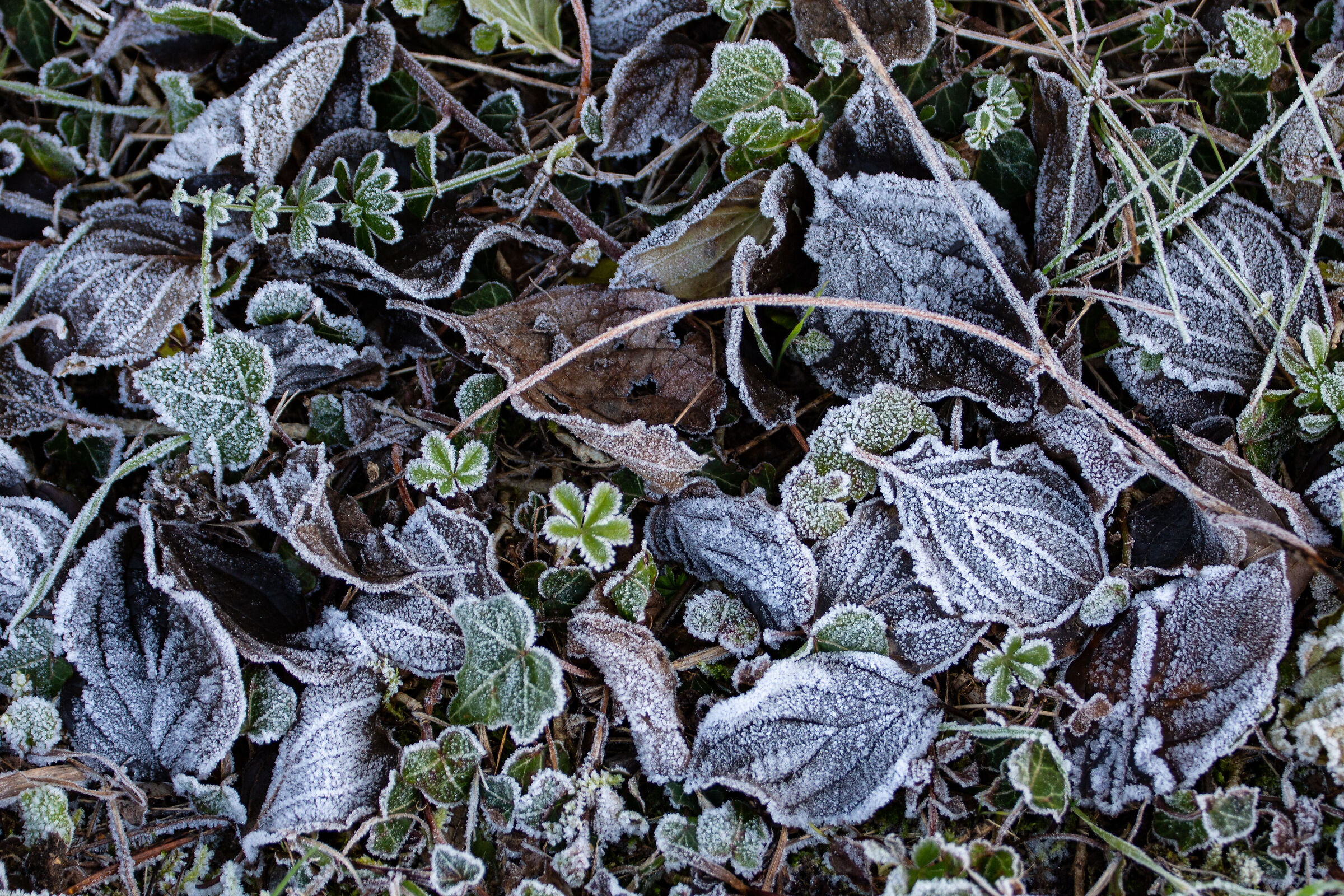 It's Chilly Out Here