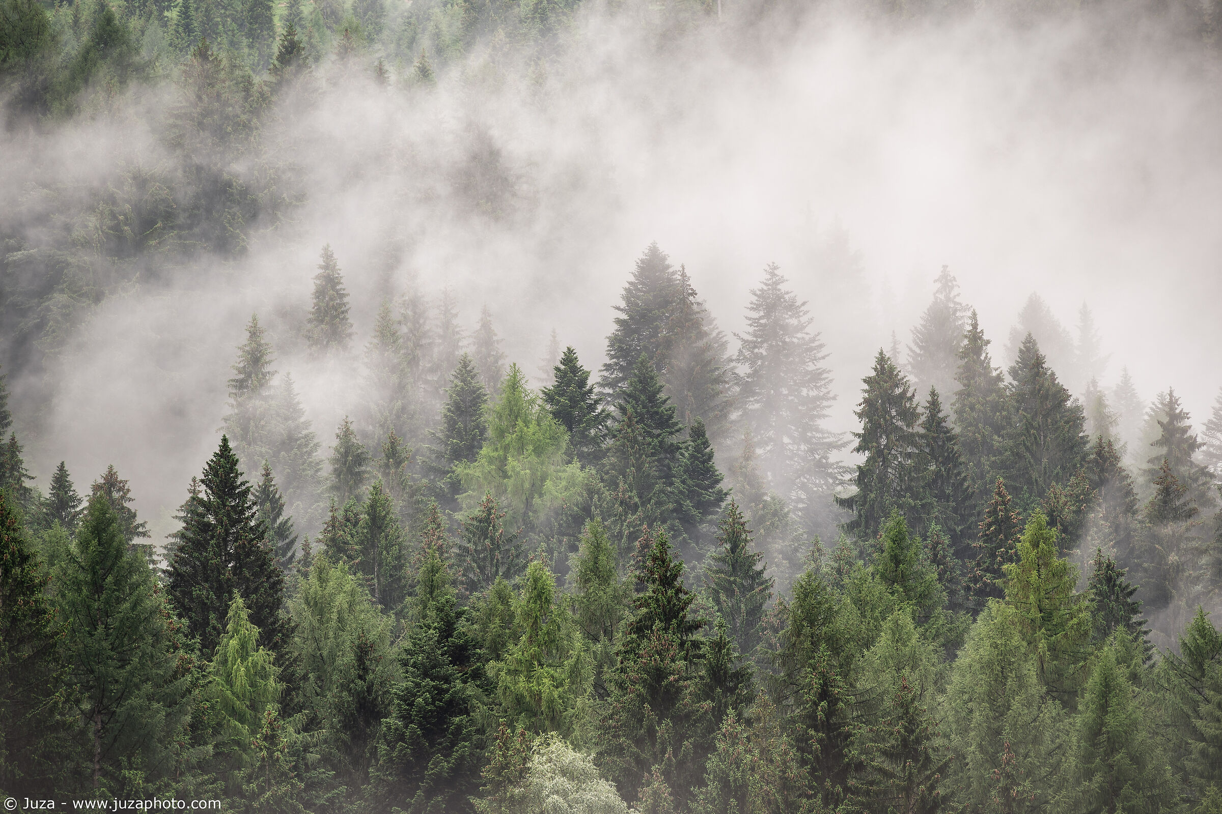 Fog in the Swiss Alps