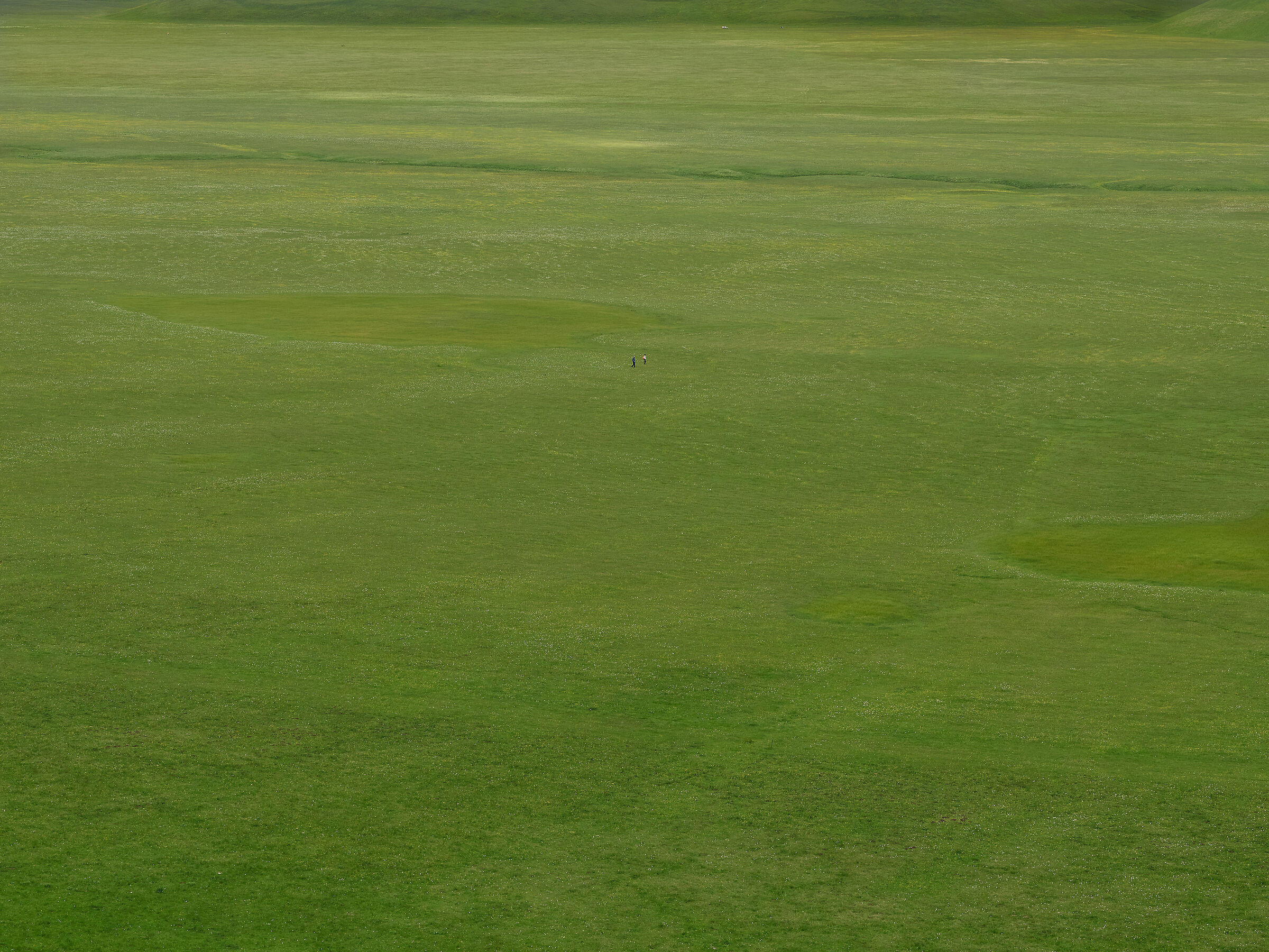 Contaminazioni umane