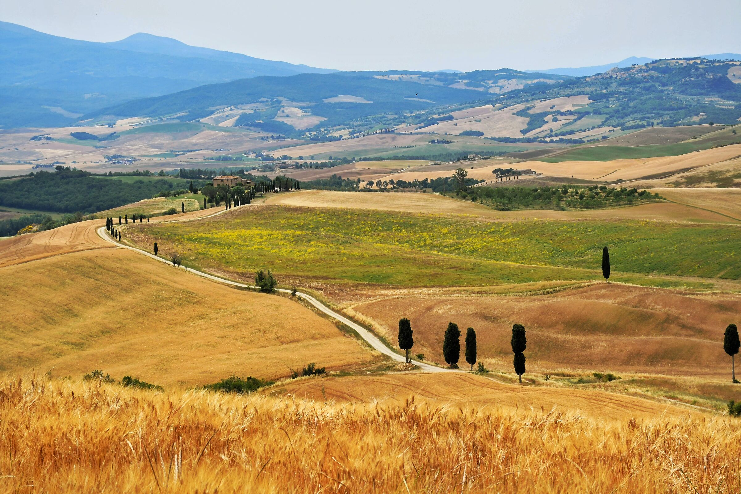 I Campi Elisi de Il Gladiatore, Pienza (si)