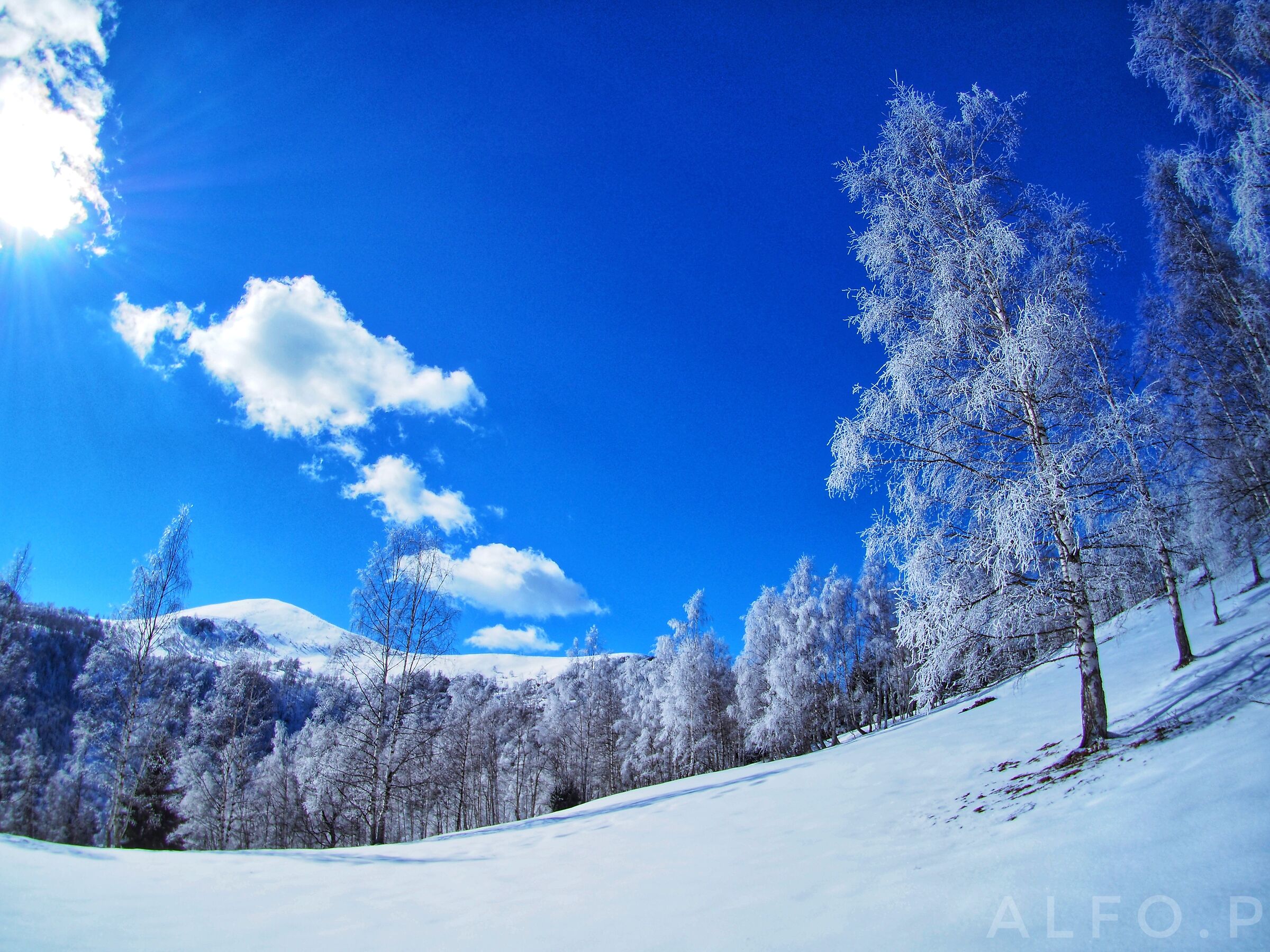Paesaggio innevato - Cuneo