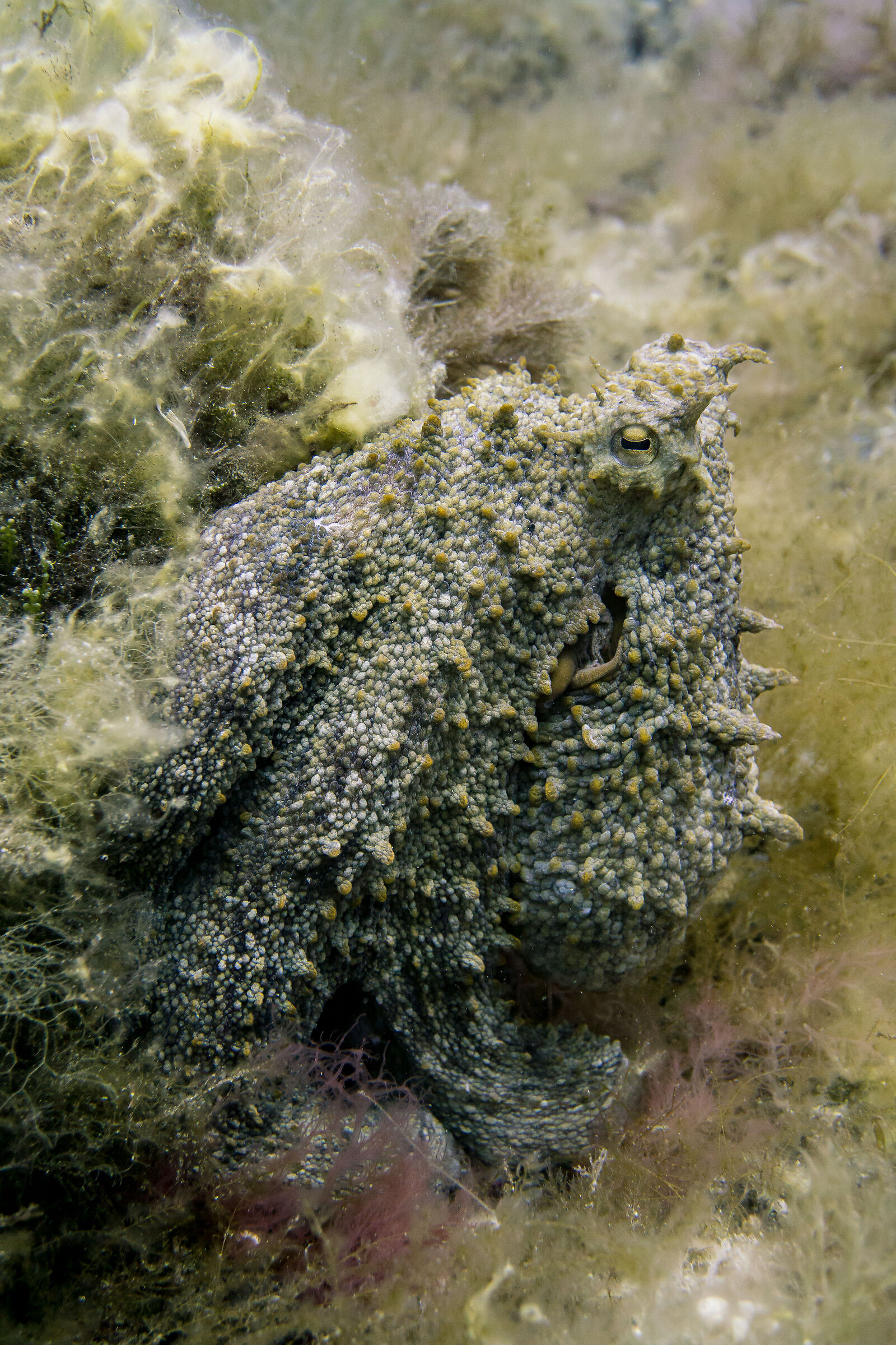 Still approach quiet