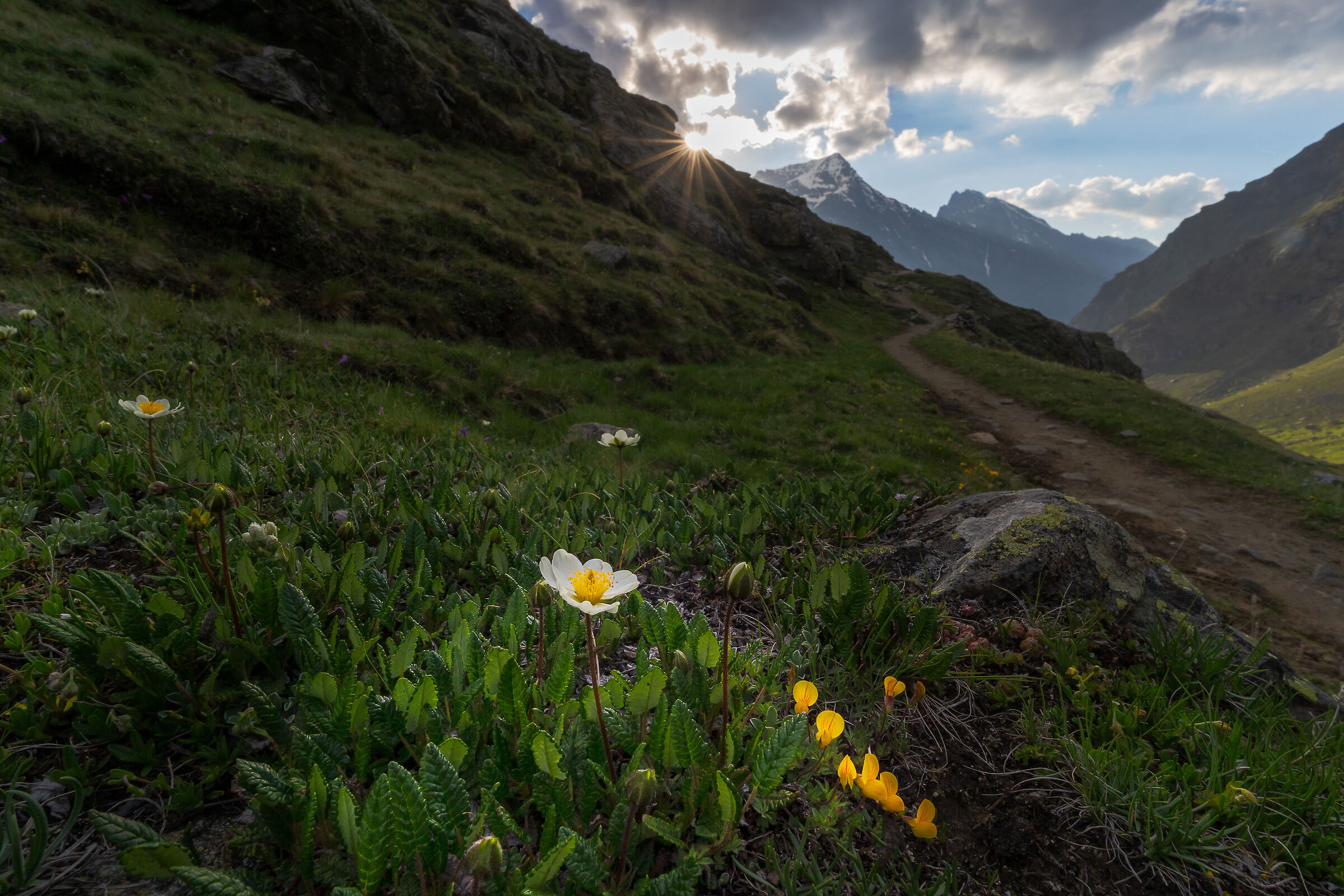 Levionaz Municipality