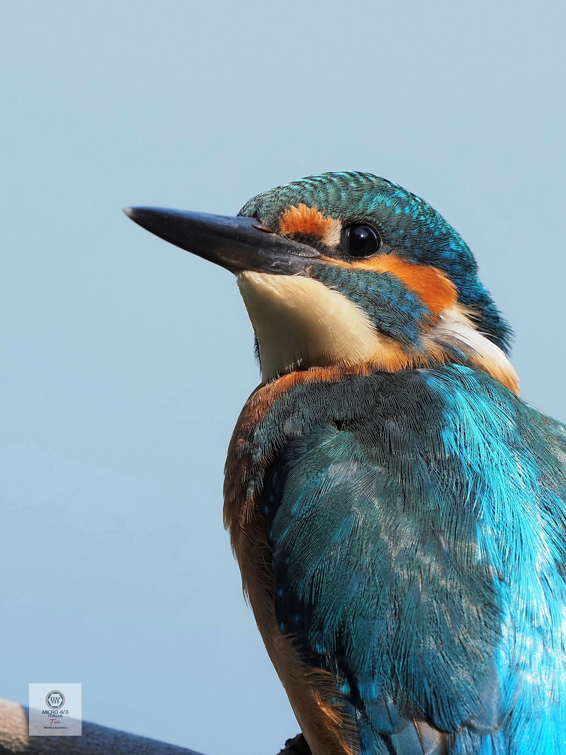 about three meters away