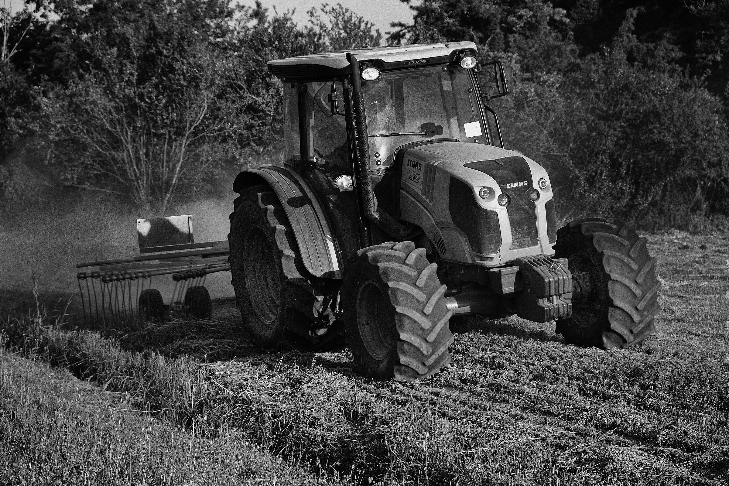 Il duro lavoro dei campi!!!