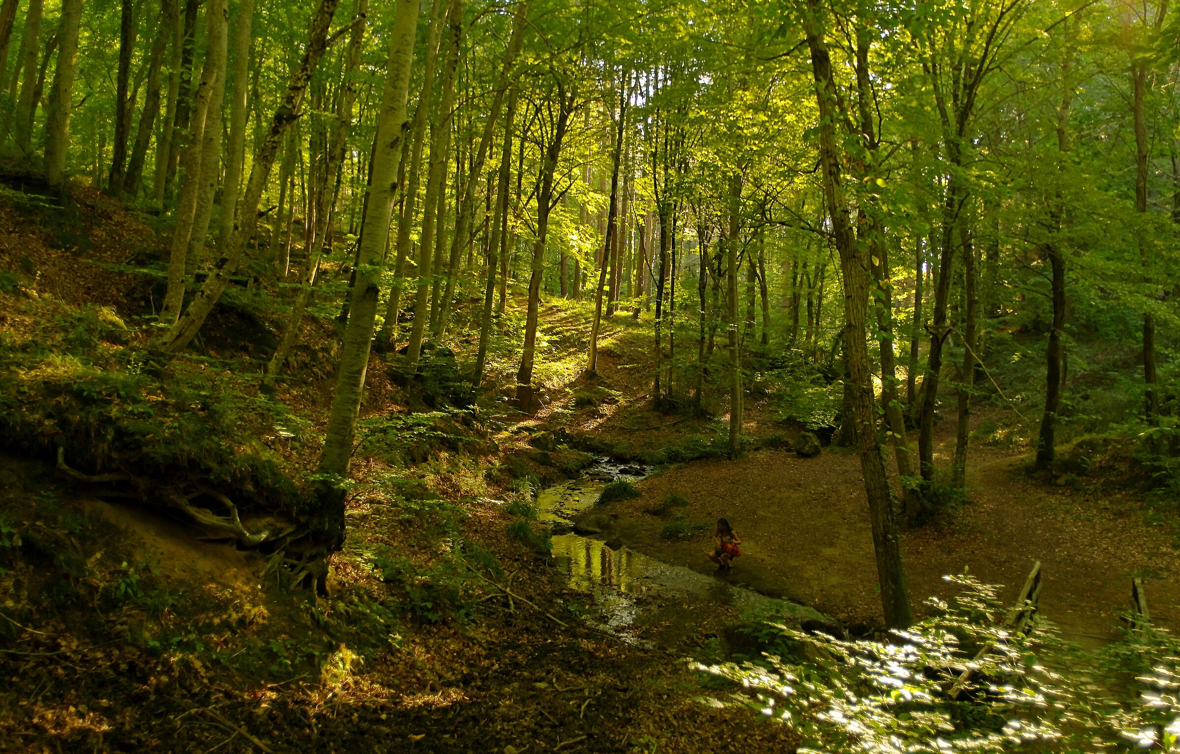 Sorgenti del Vivo d'orcia