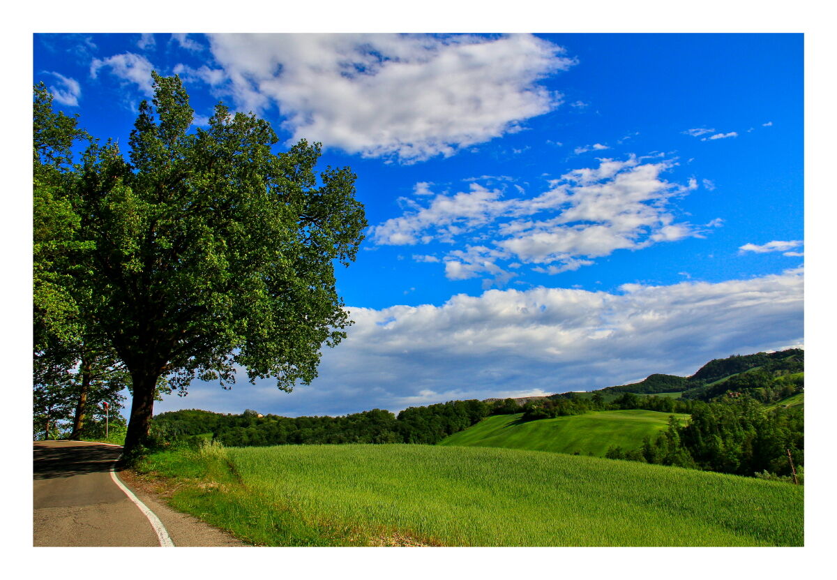 Spring 2021 on the Reggio Emilian hills