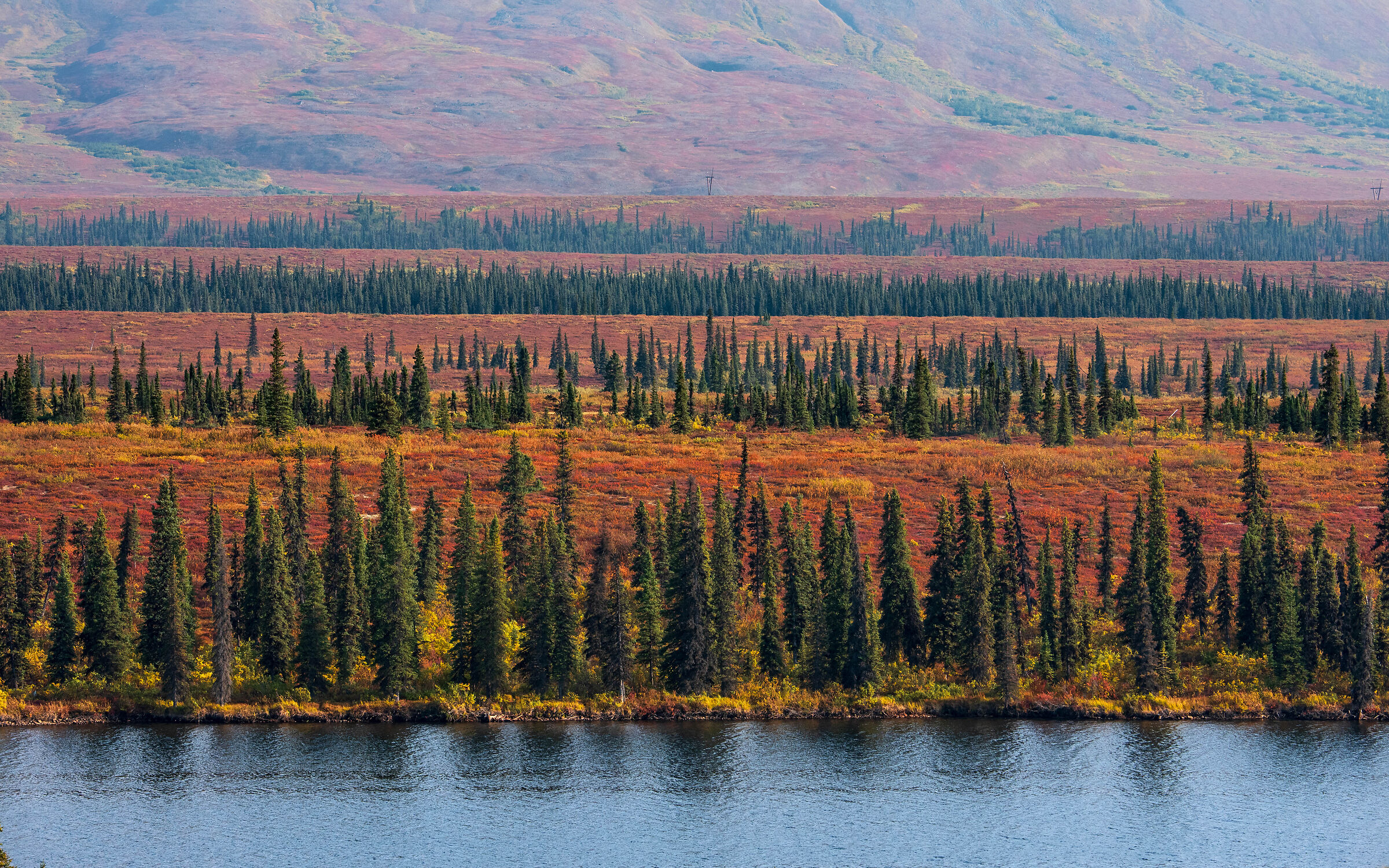 Linee multiple, Alaska