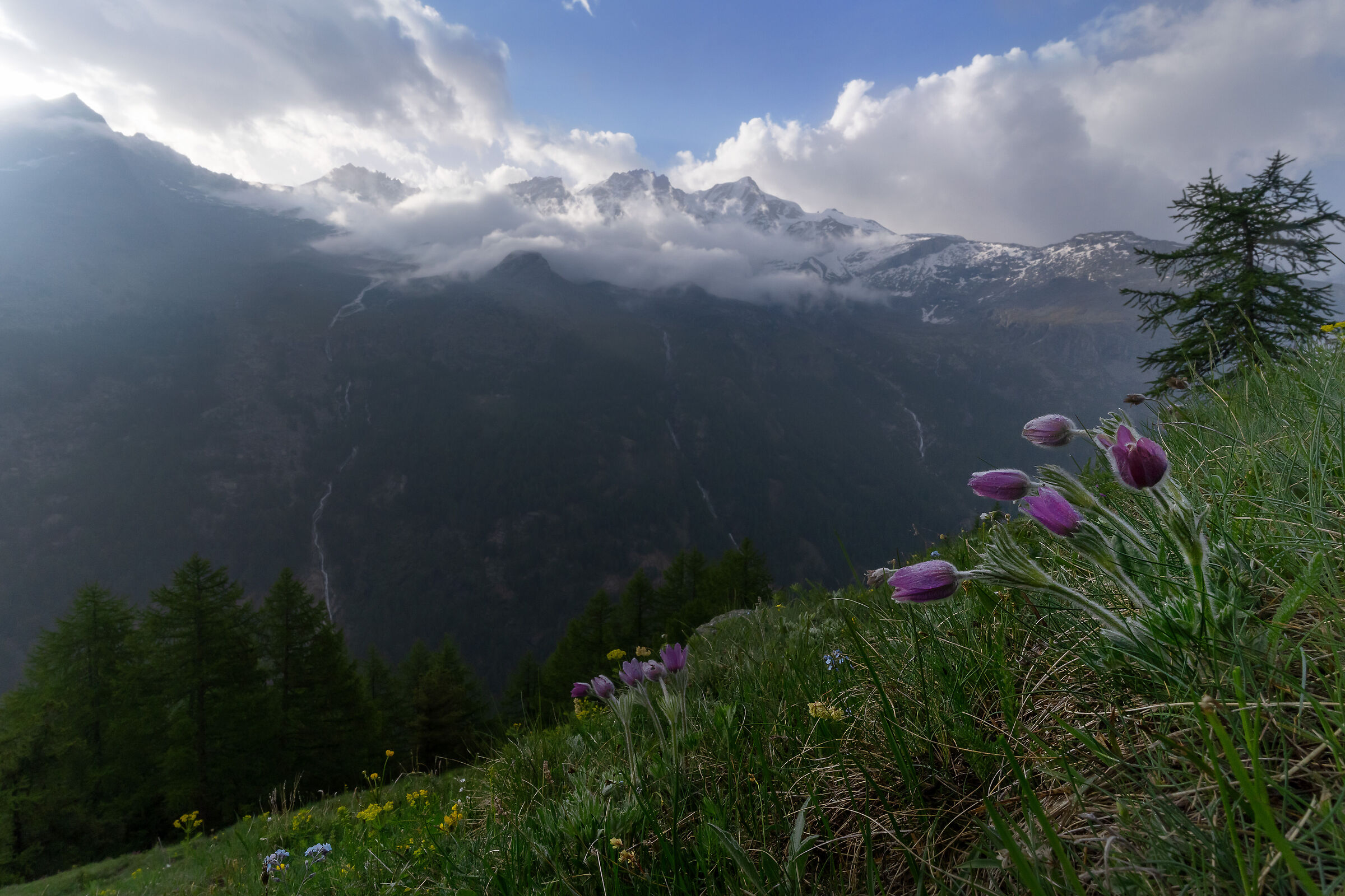 Valsavarenche Municipality