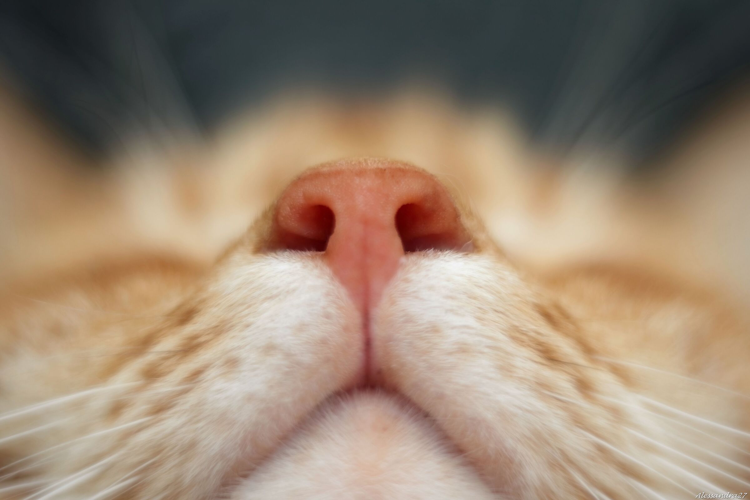 le cose non cambiano.. ...