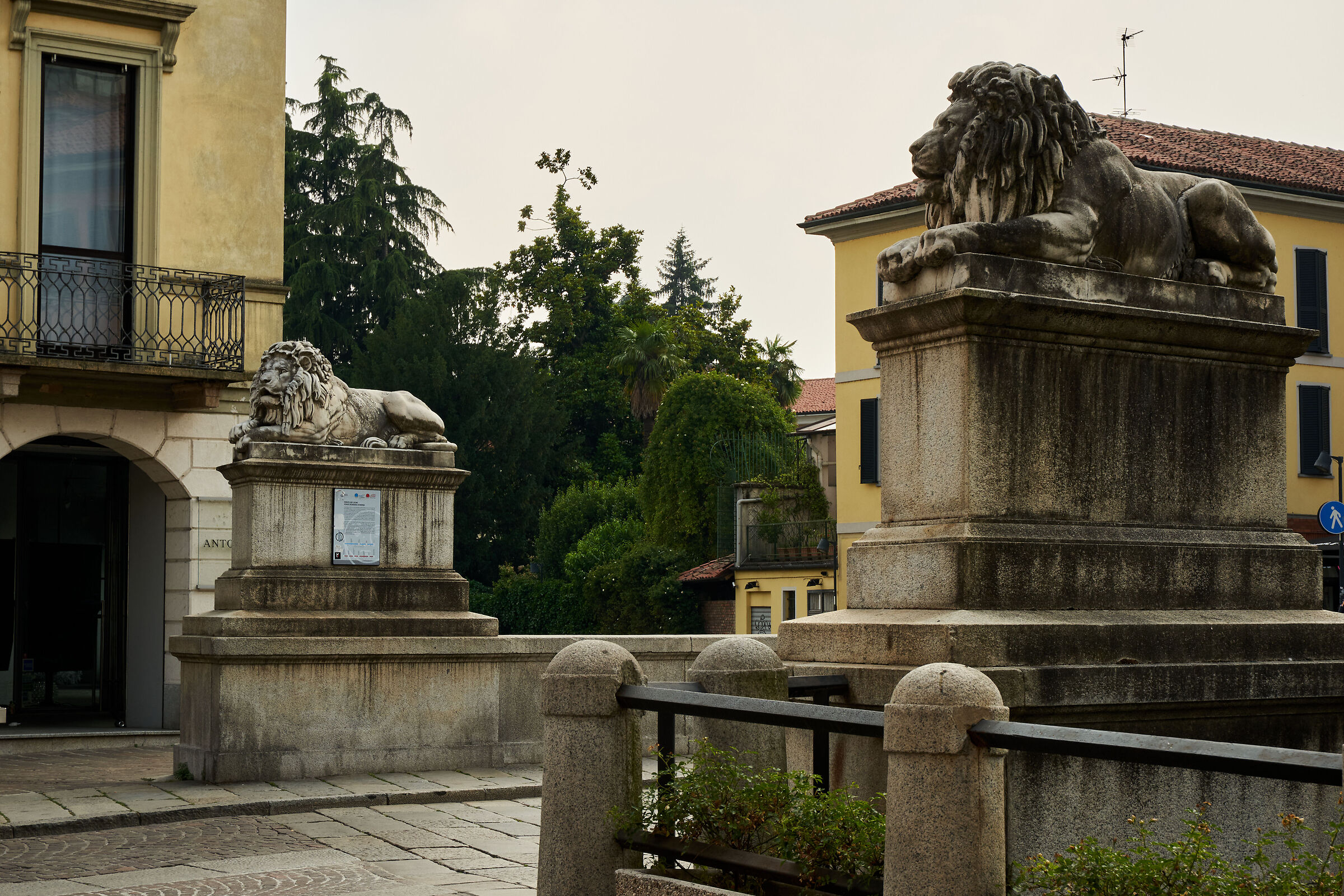 Bridge of lions