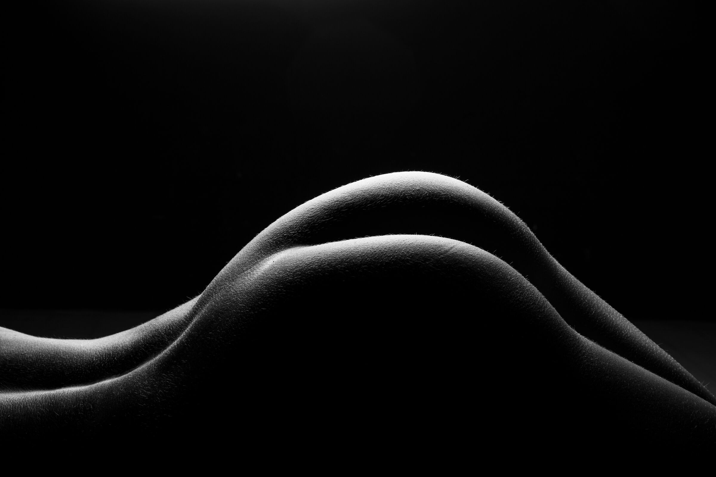 back