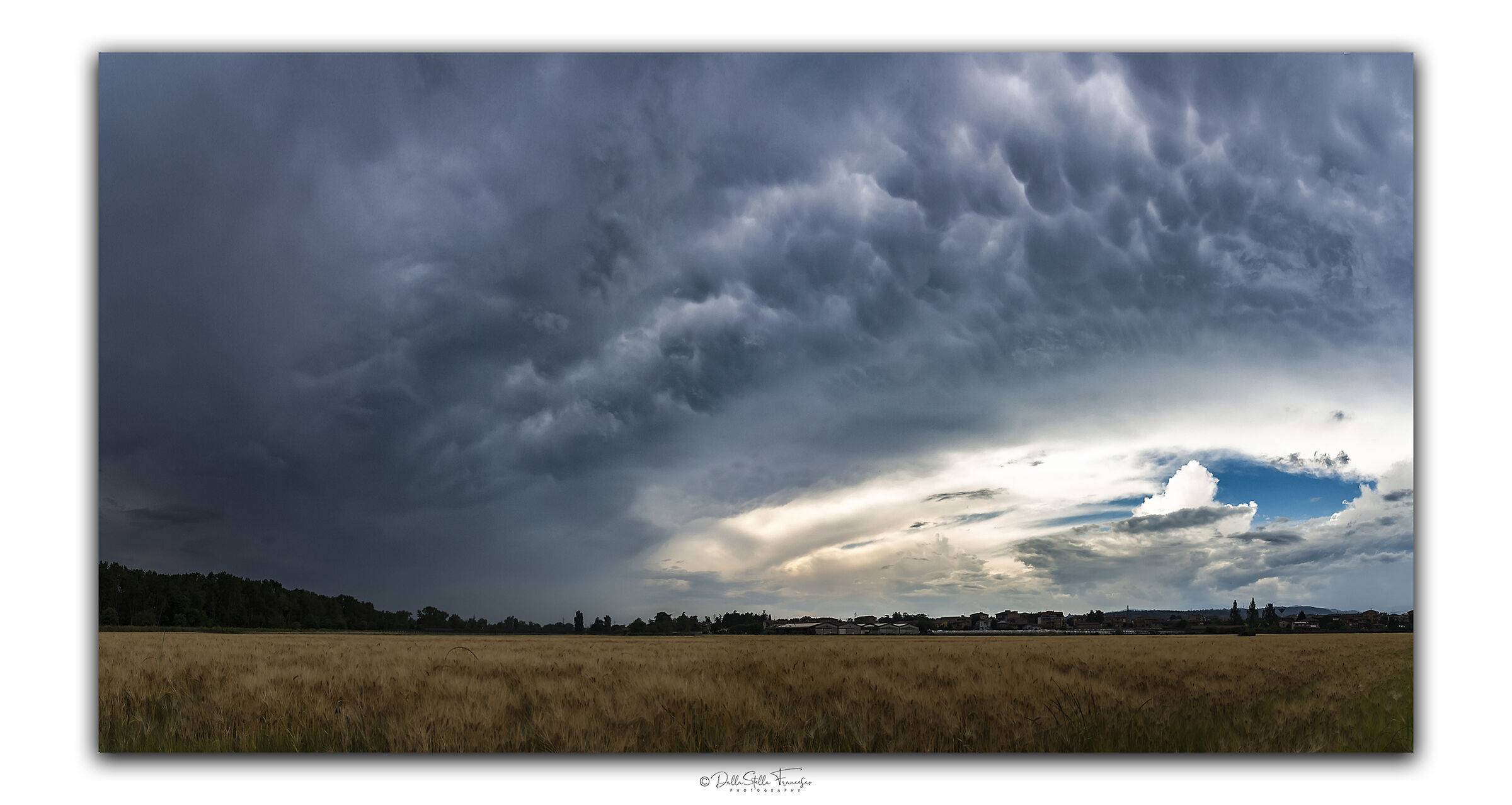 Mammatus on wheat field