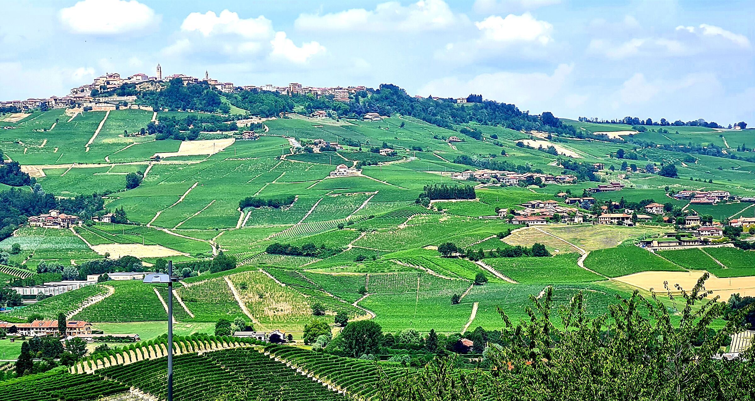 Vigne delle Langhe