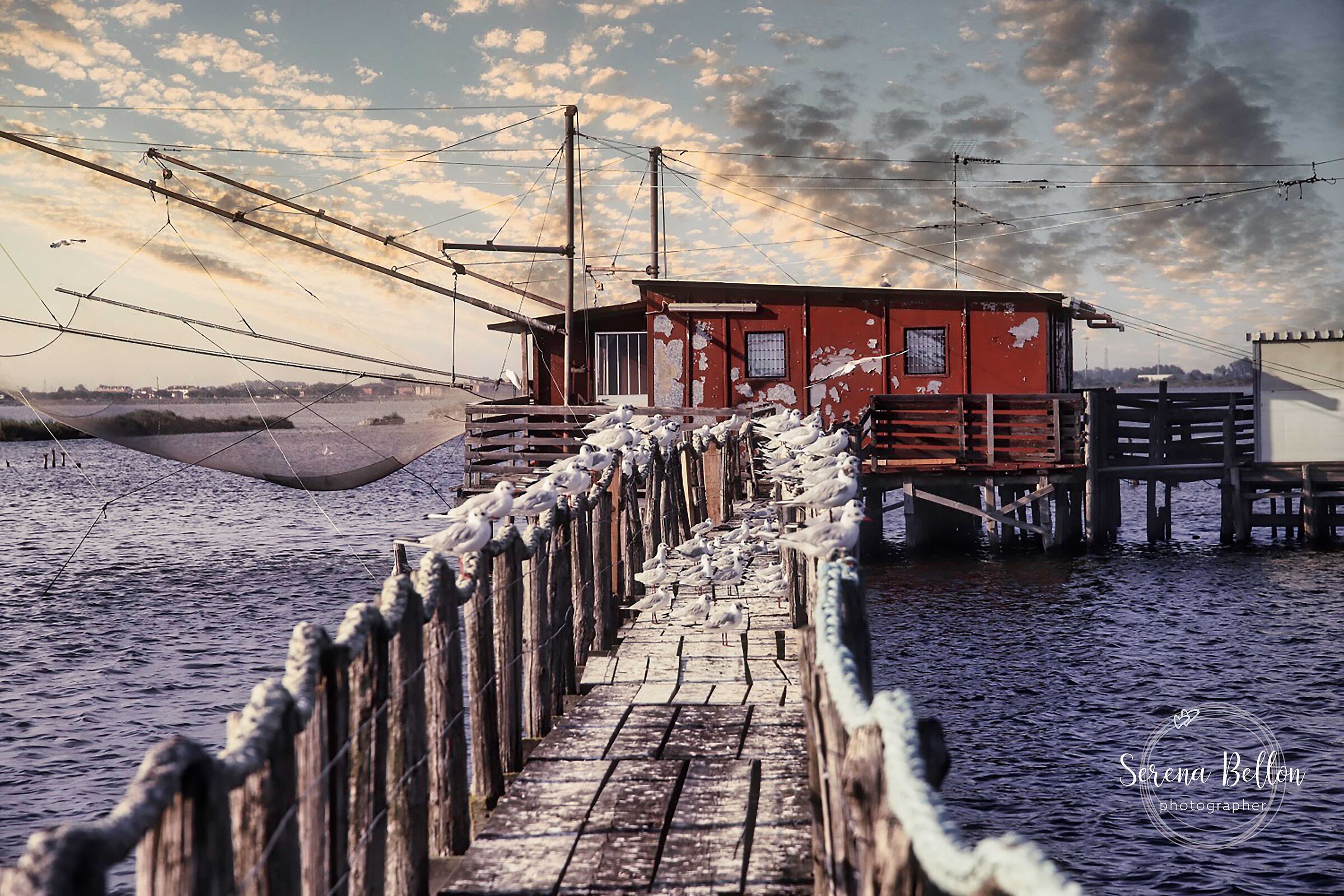 la casa dei gabbiani