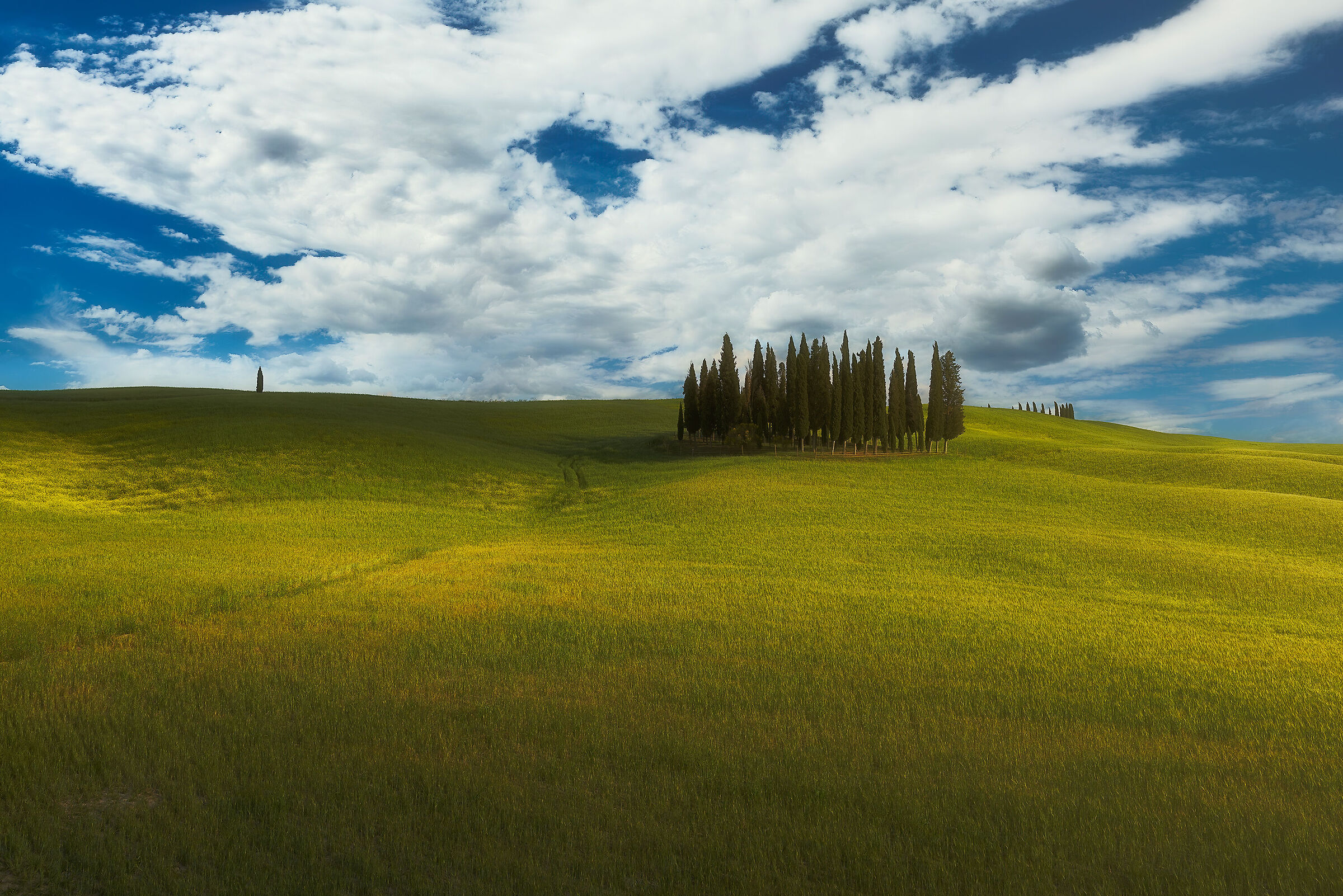 Tuscan contrasts
