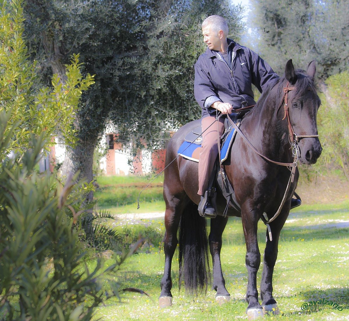 This is also Puglia: Victoria, beautiful murgese