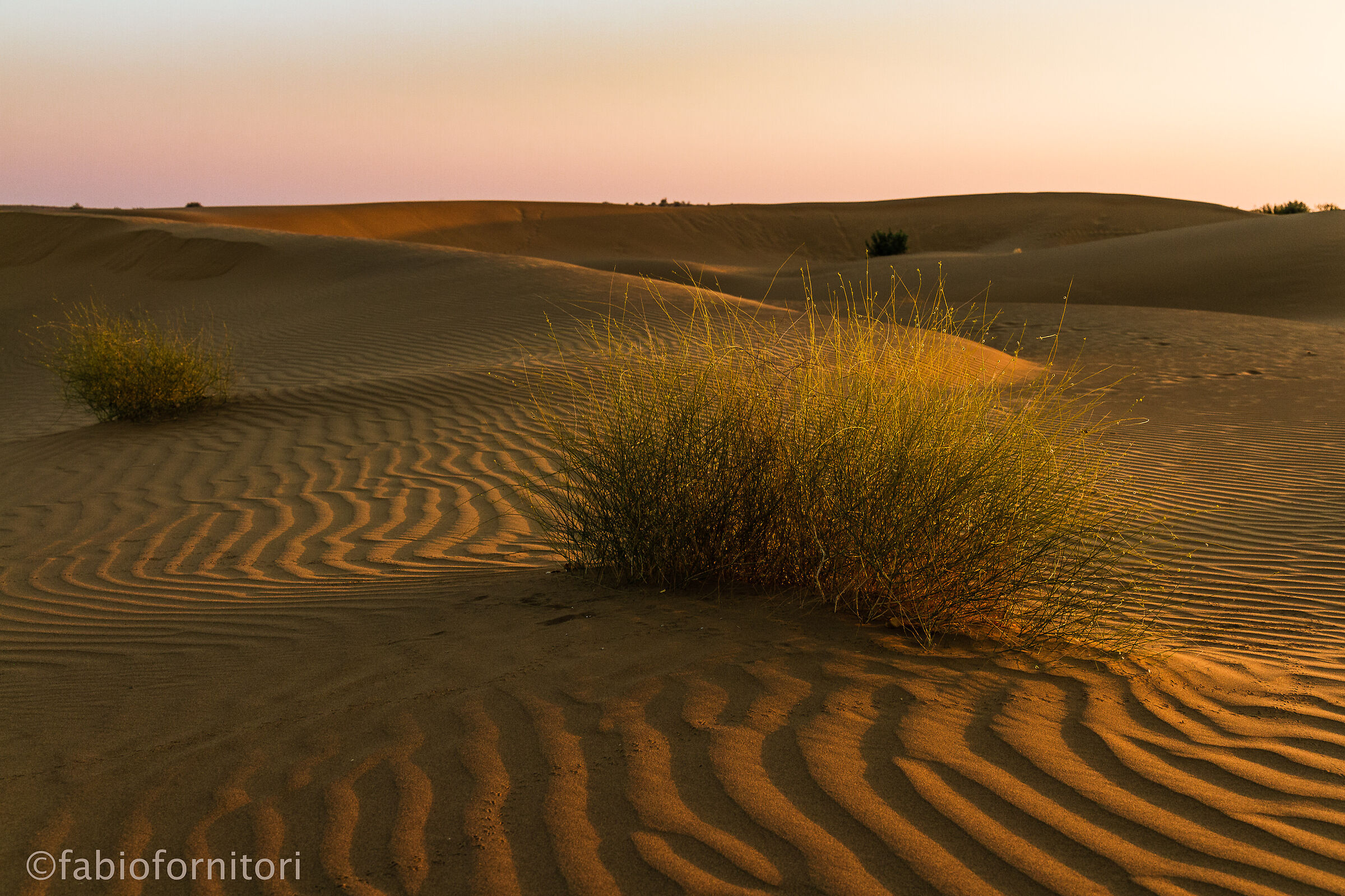 Jaisalmer desert , India 2013