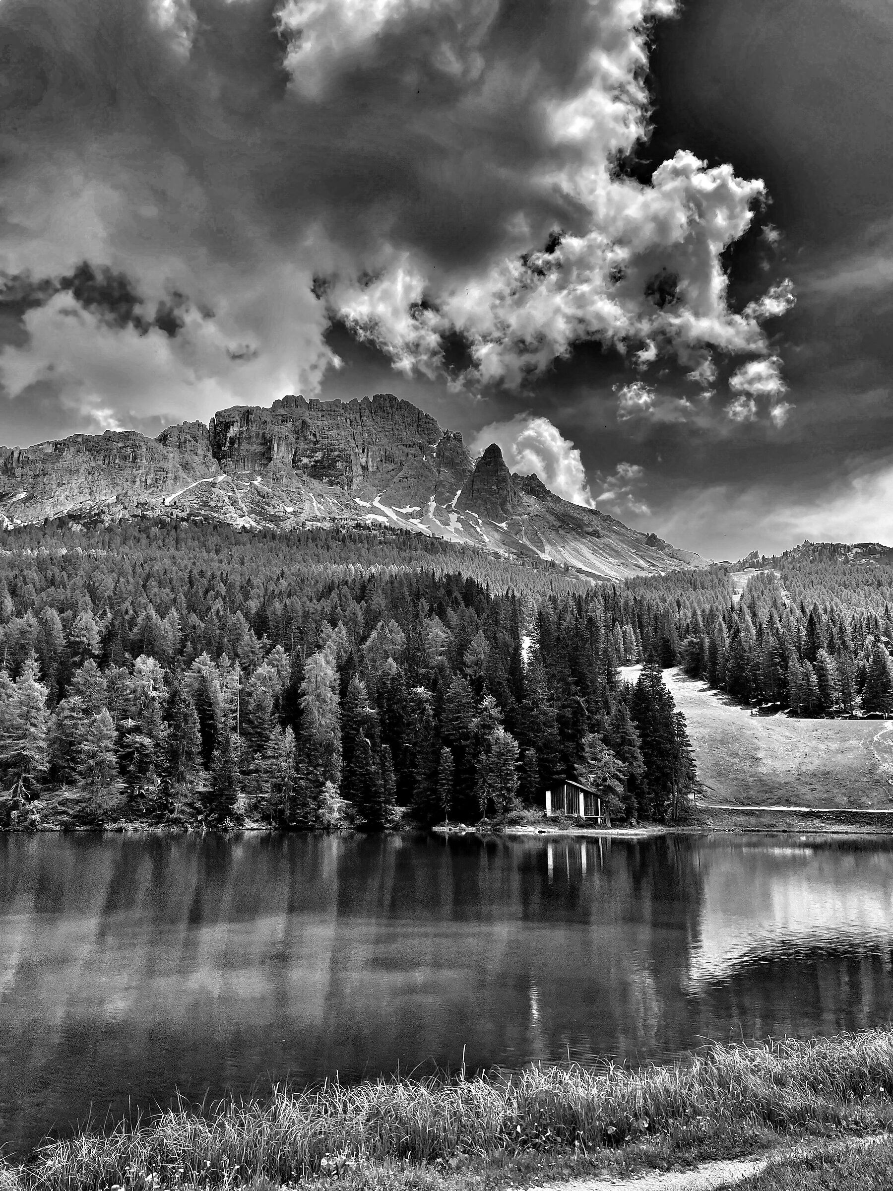 where the Eagles dare