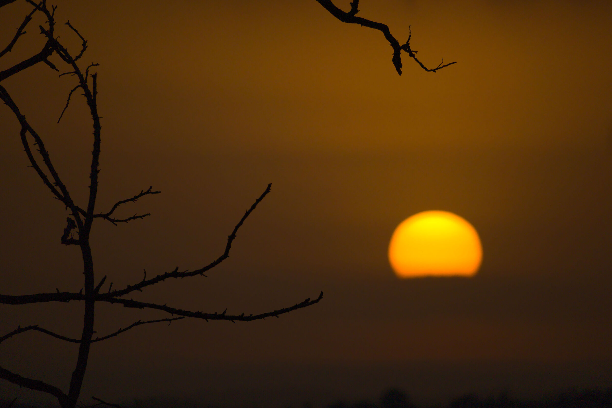 Into the Sunset