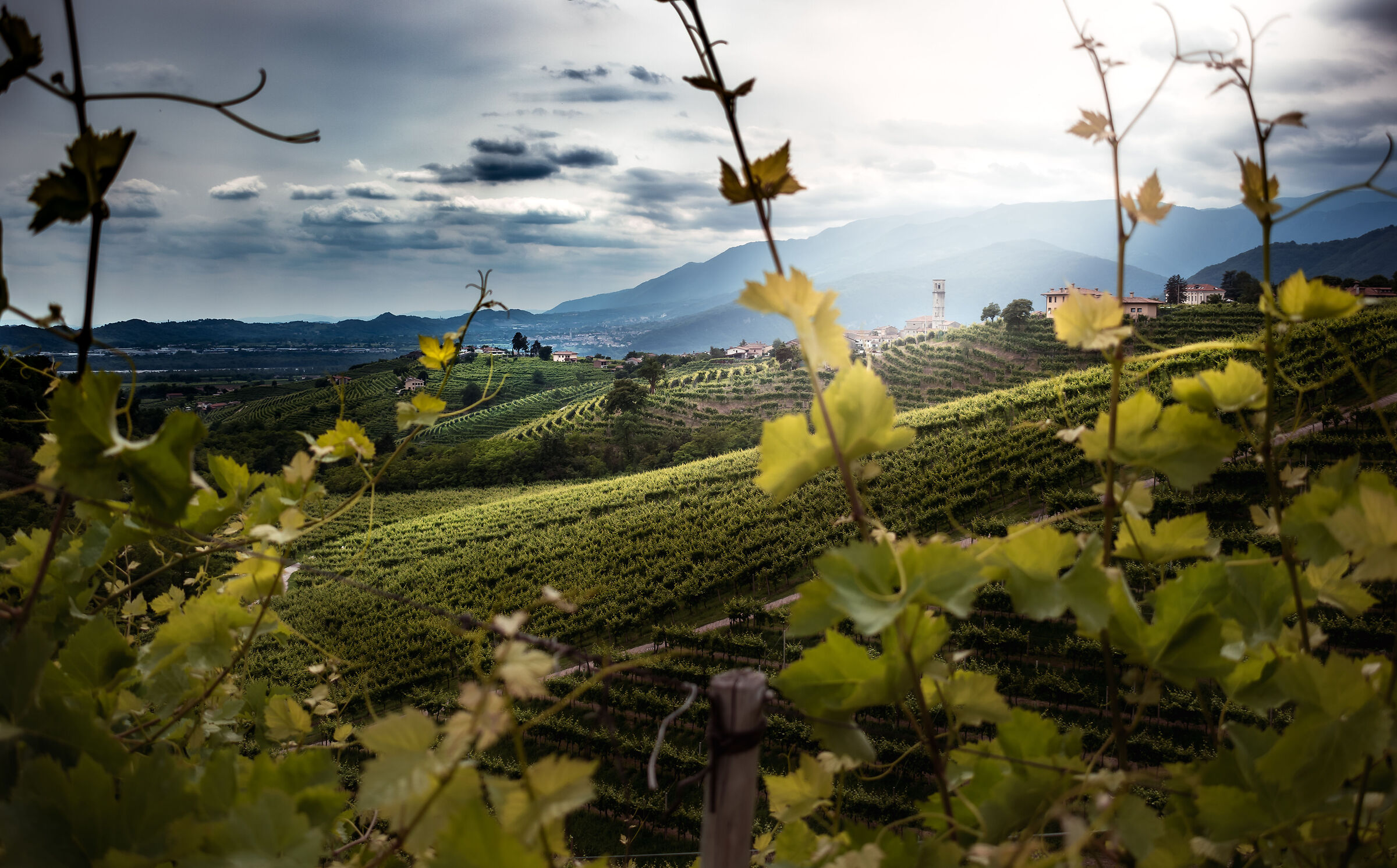 The hills of Valdobbiadene, a UNESCO World Heritage Site