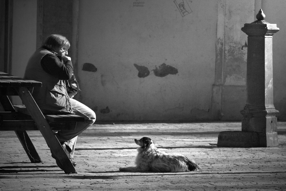 ... aspettando le bricciole!