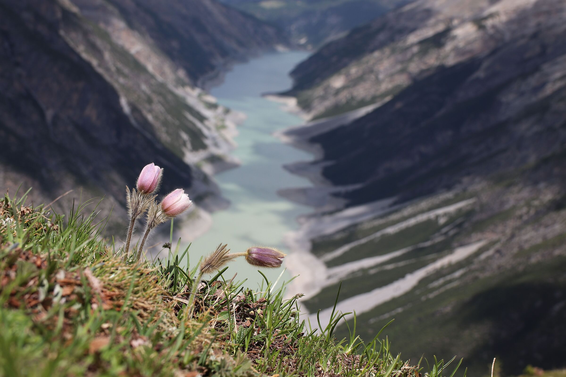 Lago di Livigno
